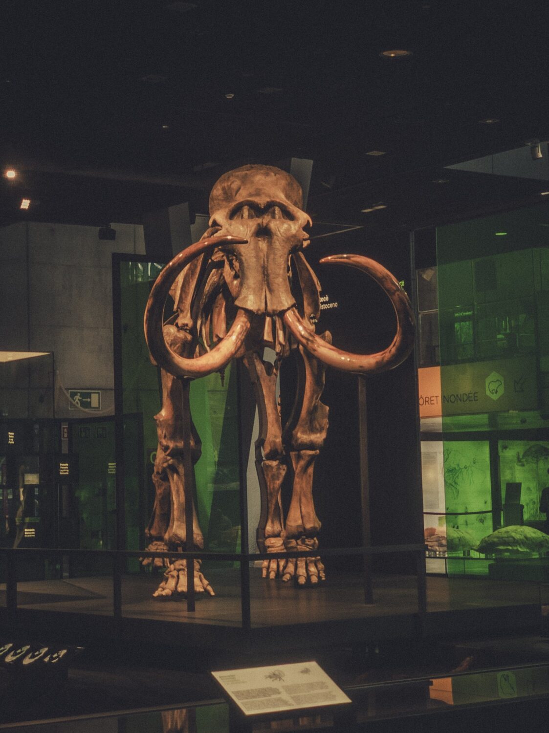CosmoCaixa Museum of Science