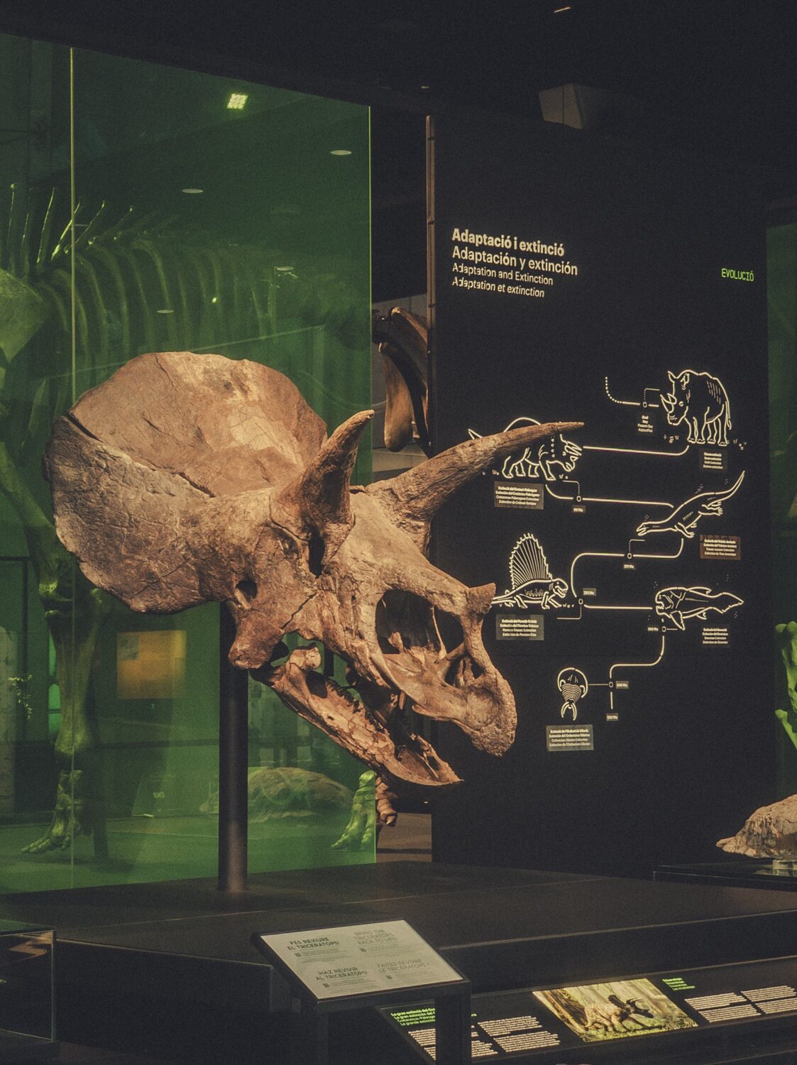 CosmoCaixa Museum of Science