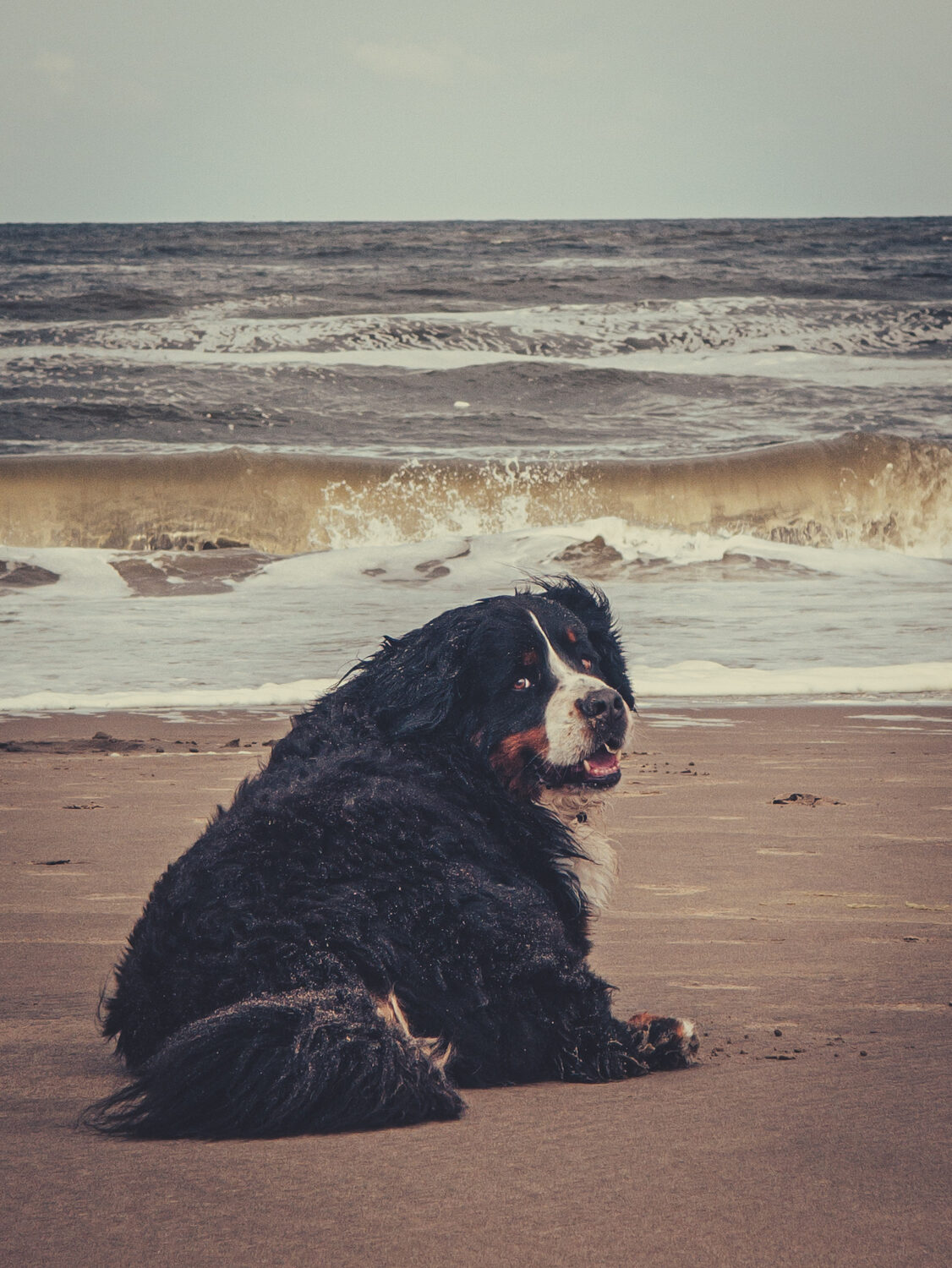 Vitamin Sea 2.