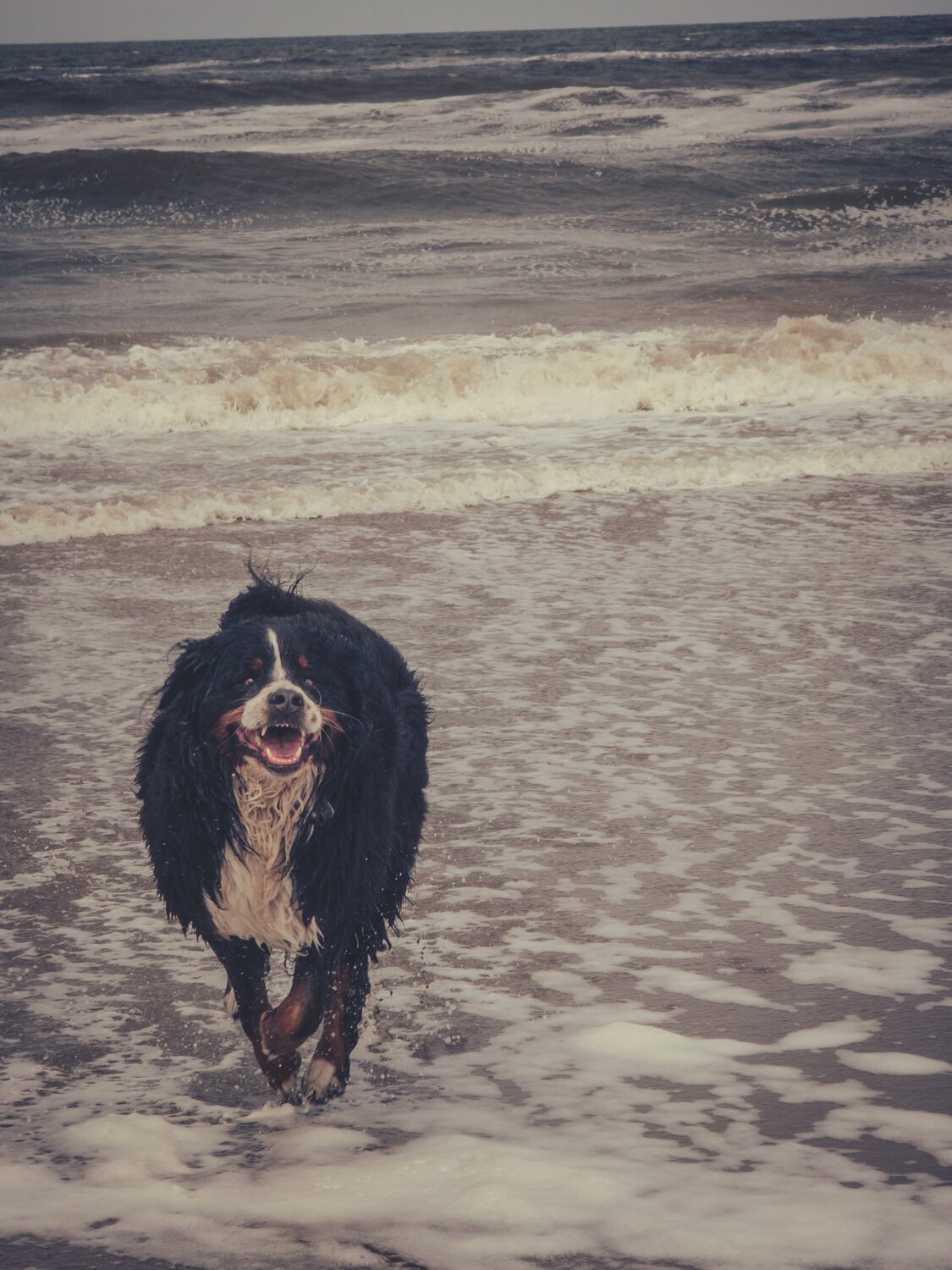 Vitamin Sea 2.