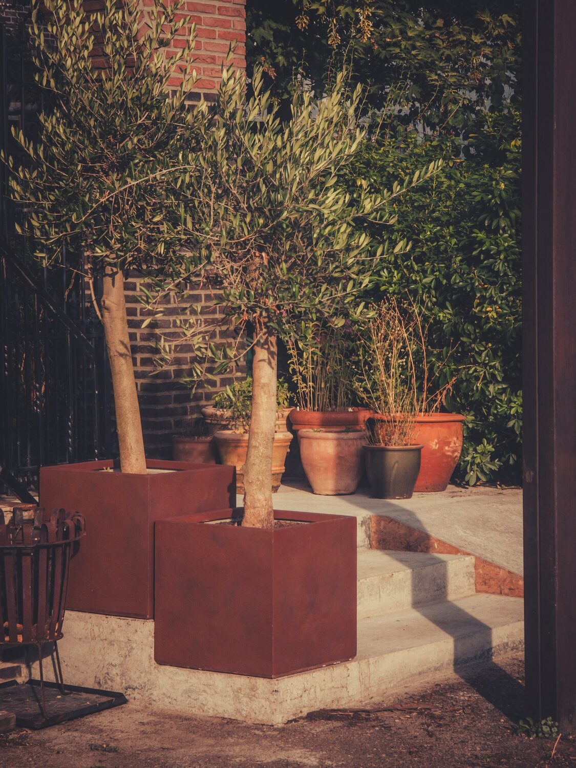 Please enjoy these carefully framed images that make the garden look amazing.