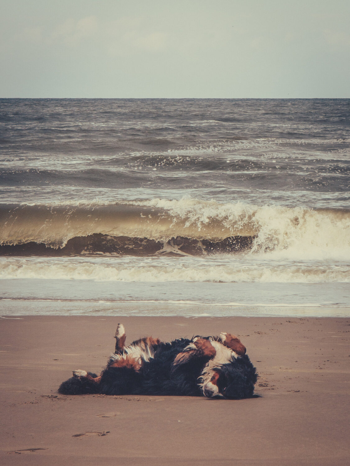 Vitamin Sea 2.