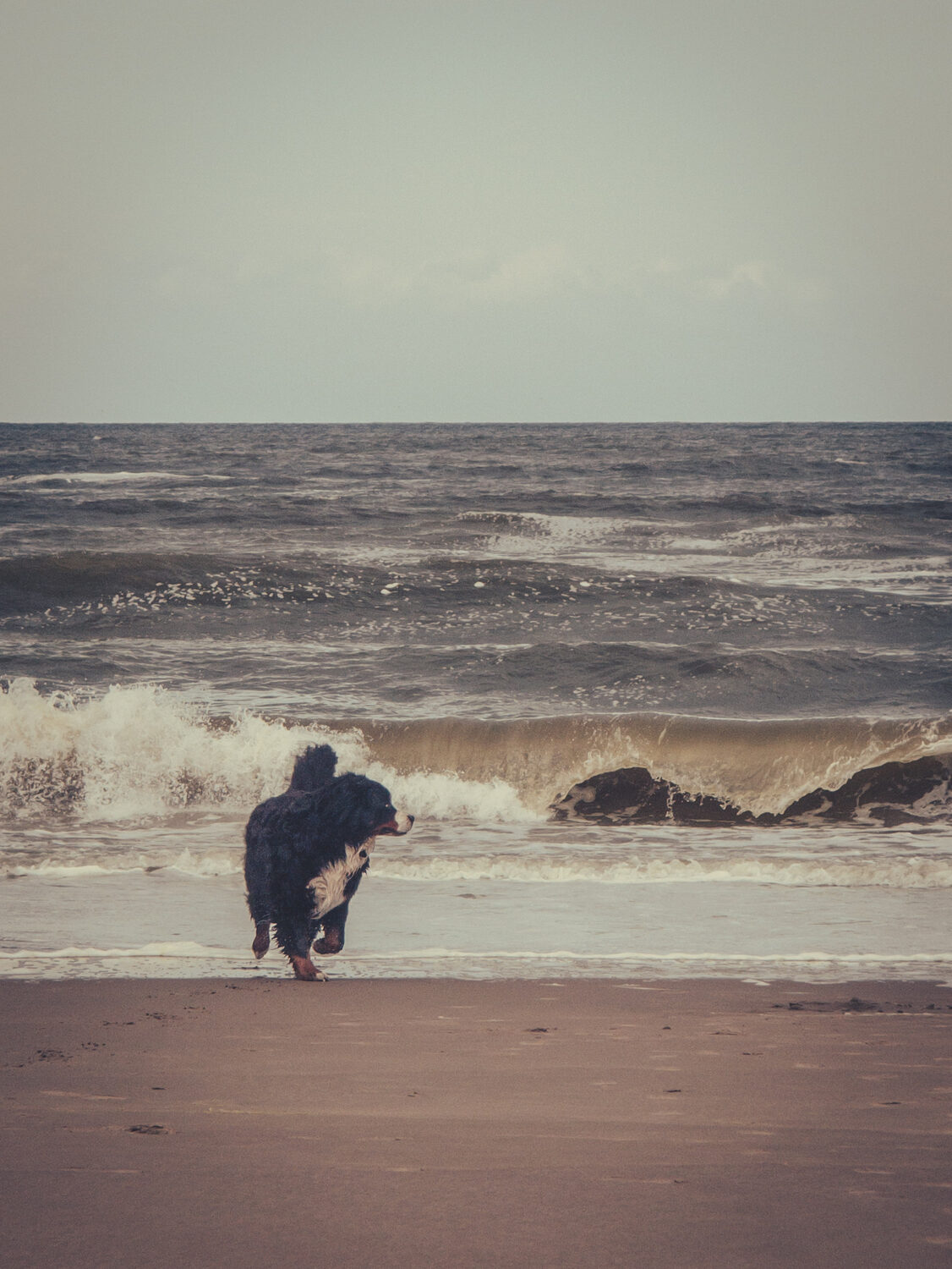 Vitamin Sea 2.