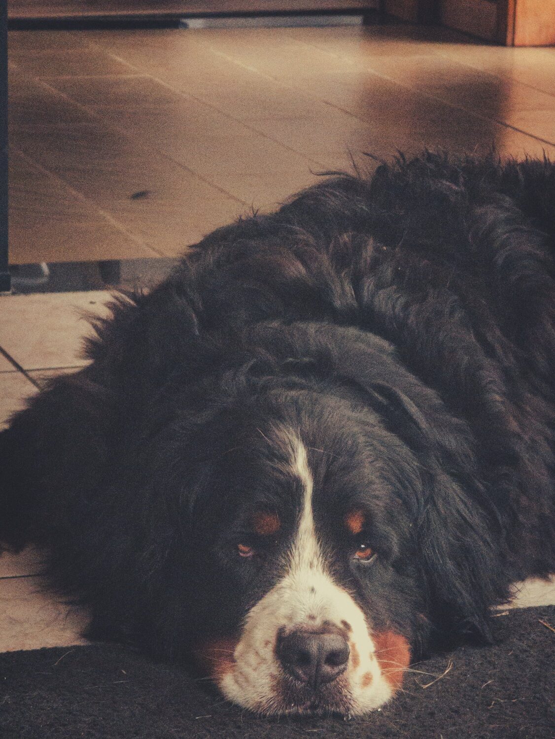 I'm watching you. #skye