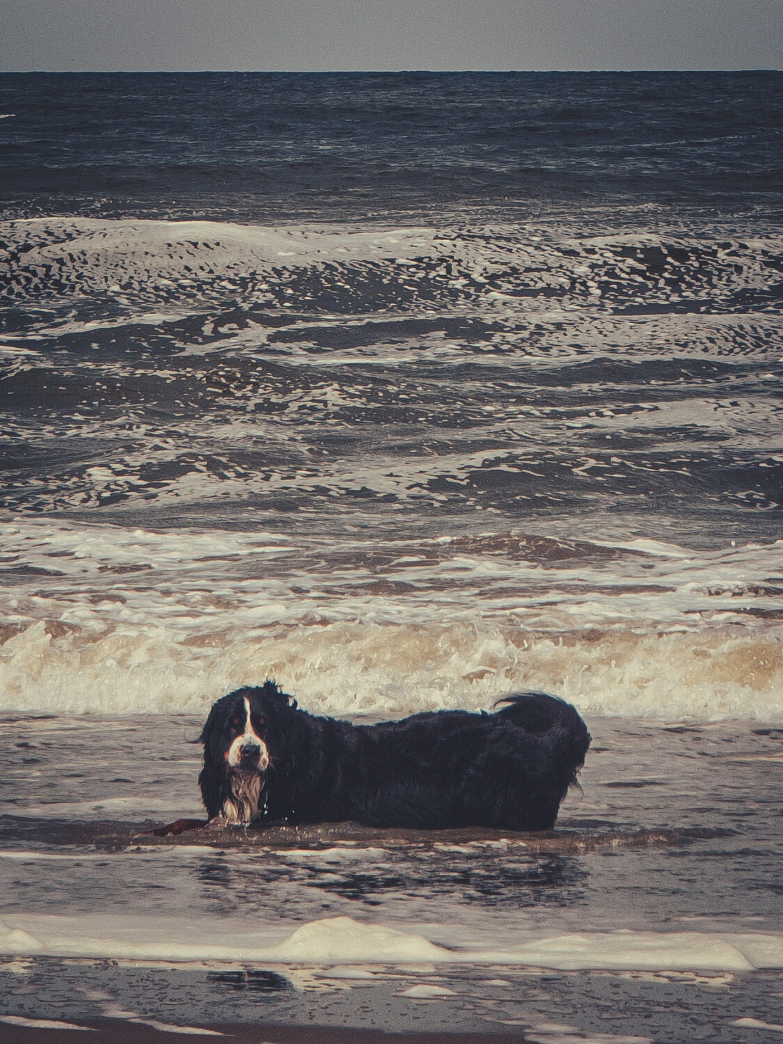 Vitamin Sea 2.