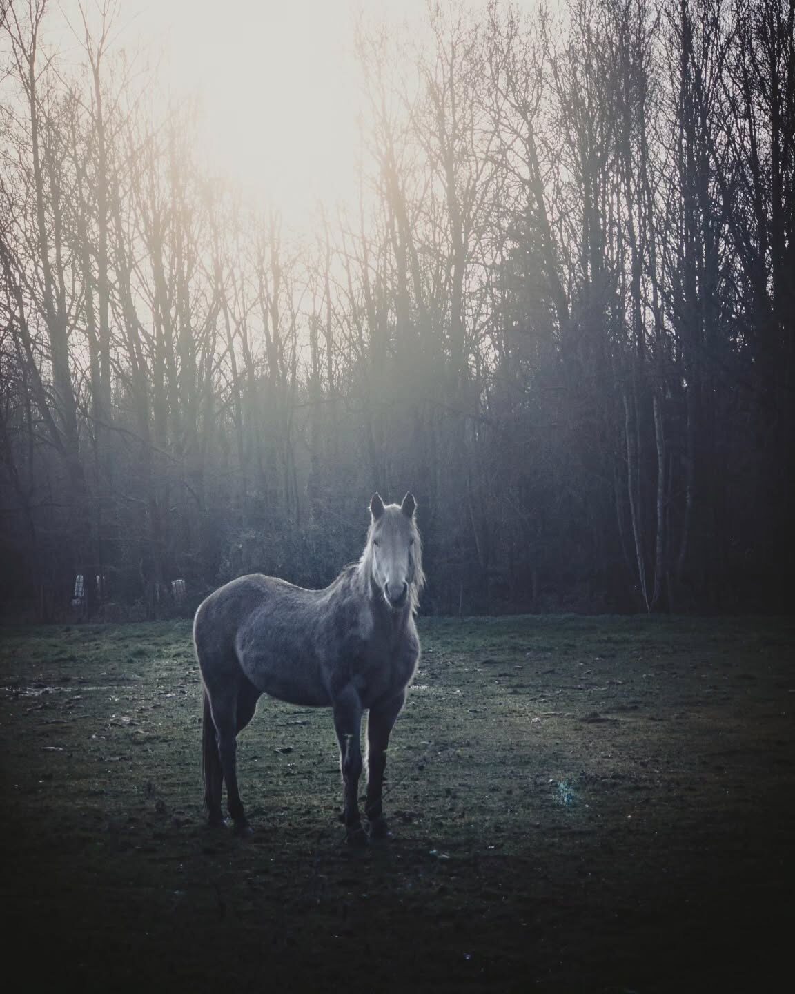 Imported Instagram photo