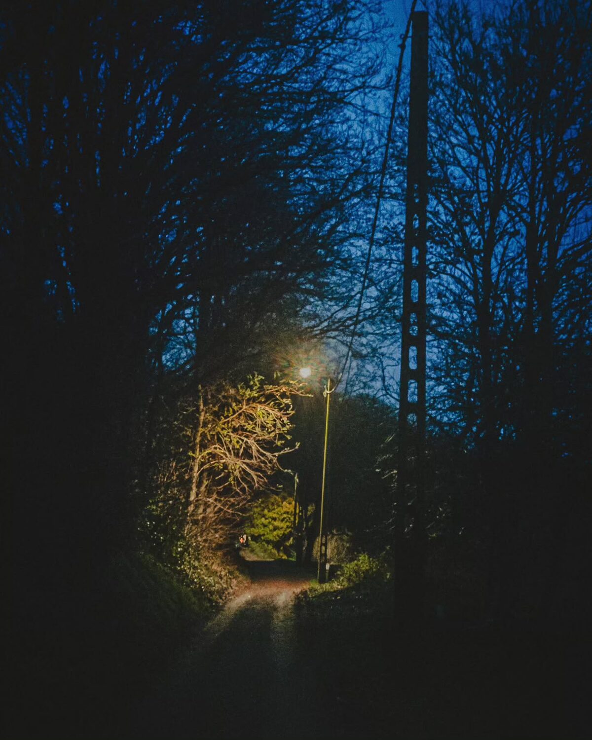 Avondwandeling