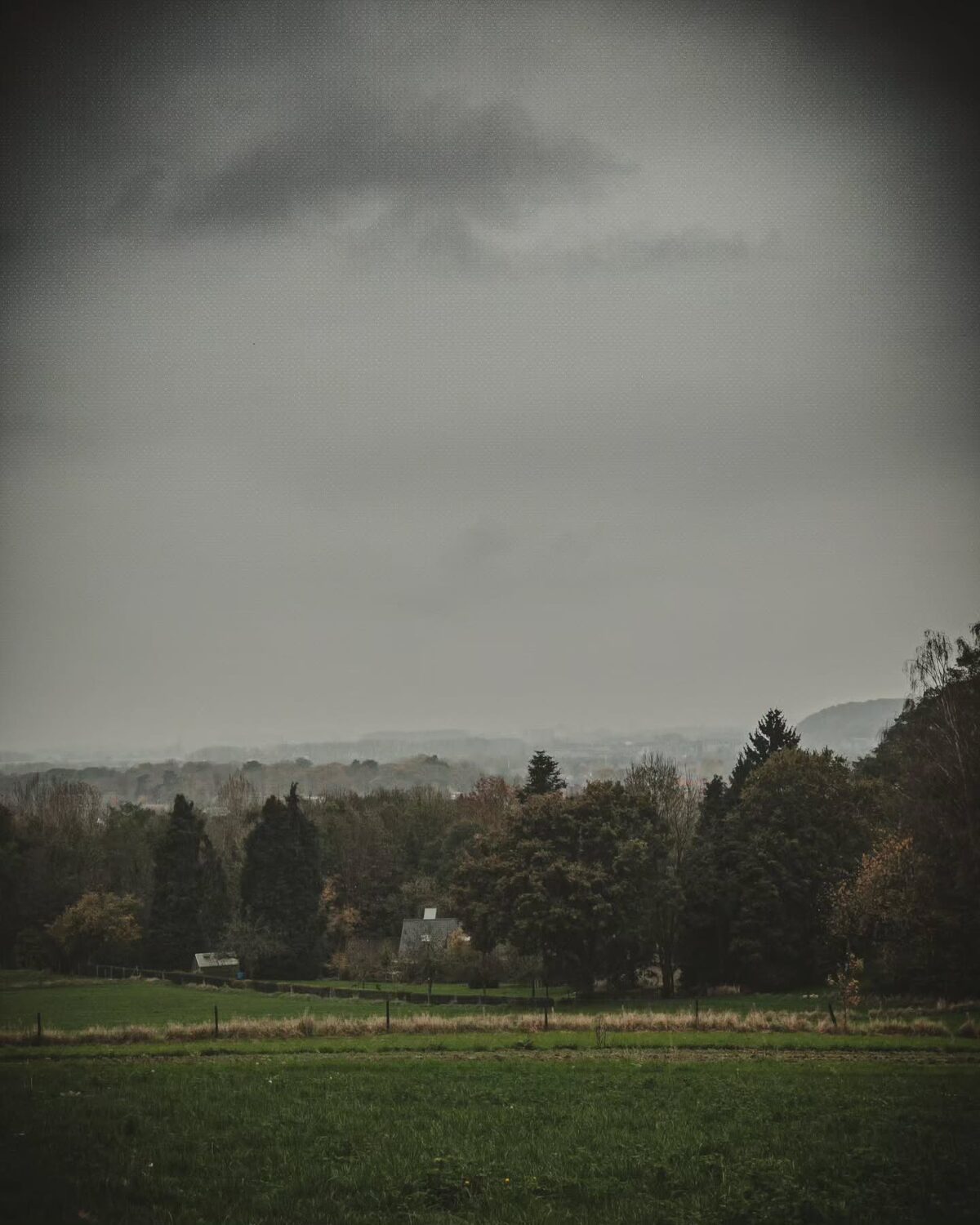 Fall walks