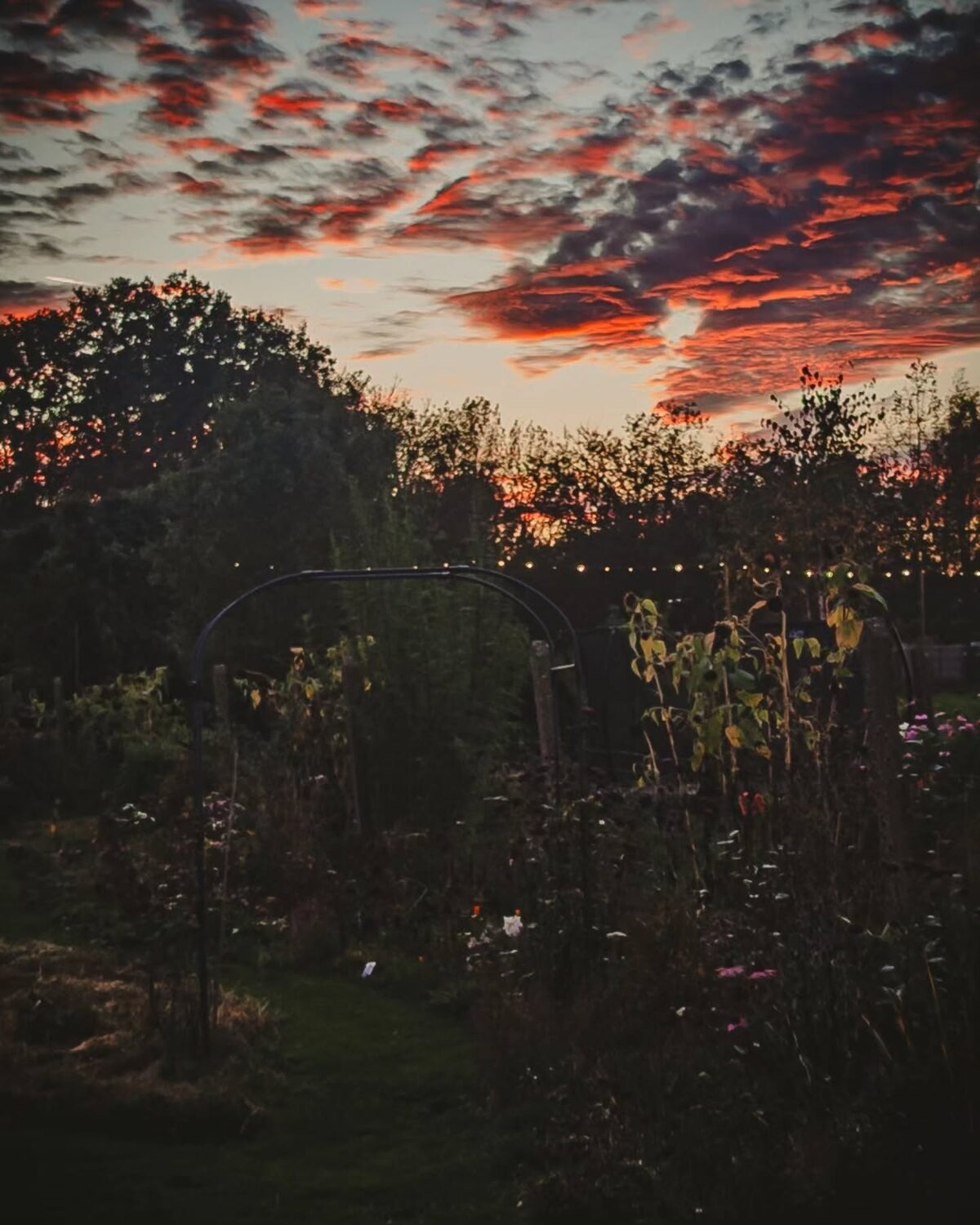 Fall scenes.