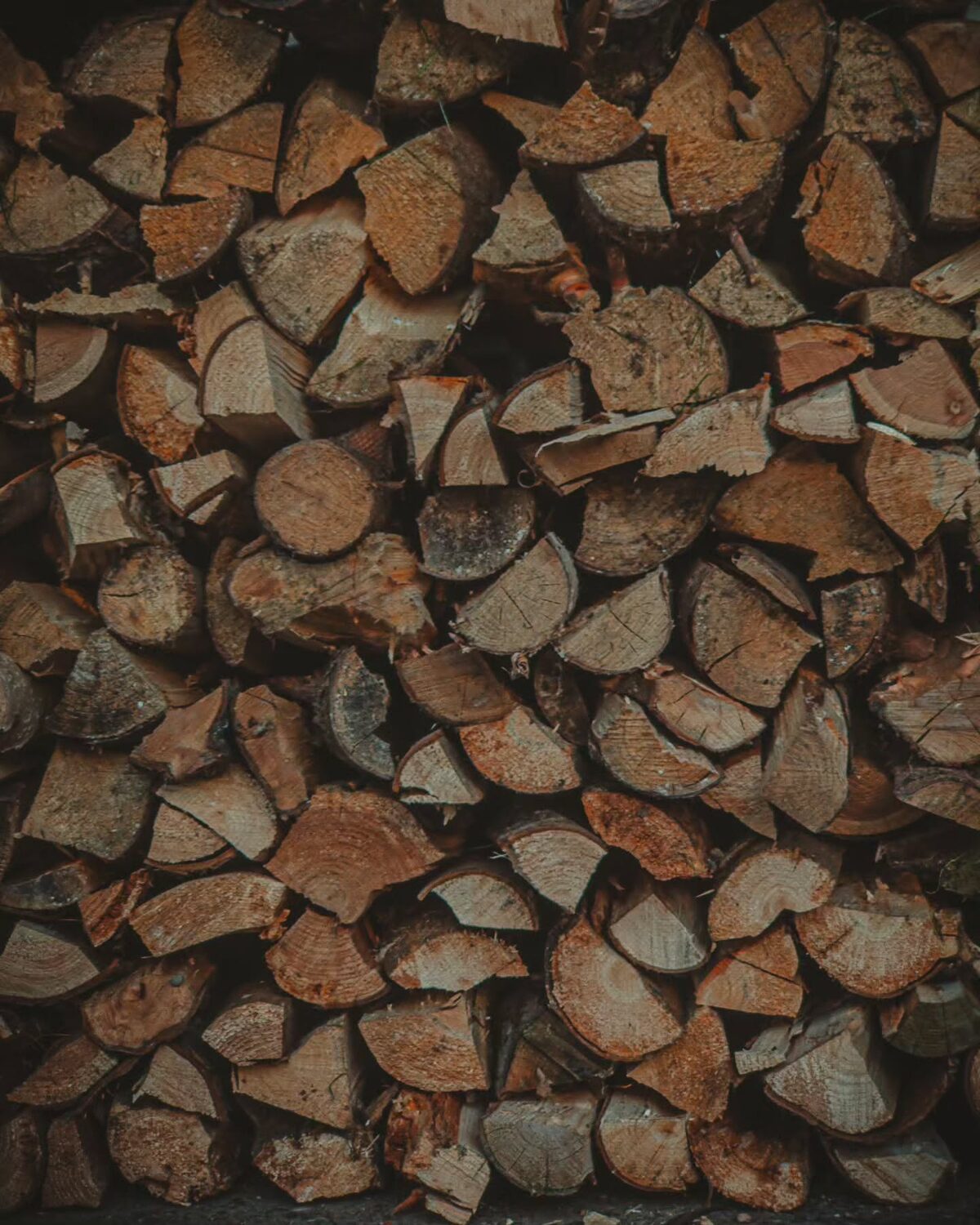 Fall scenes.