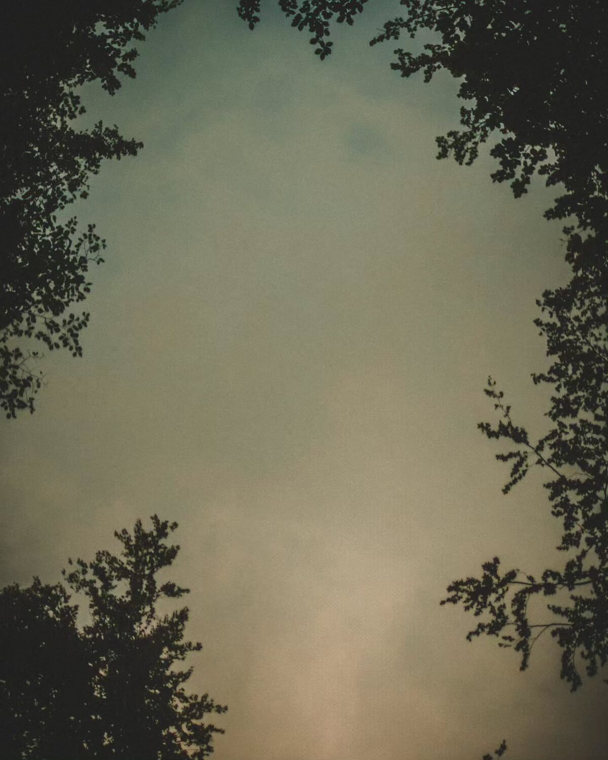 Summer is Falling.