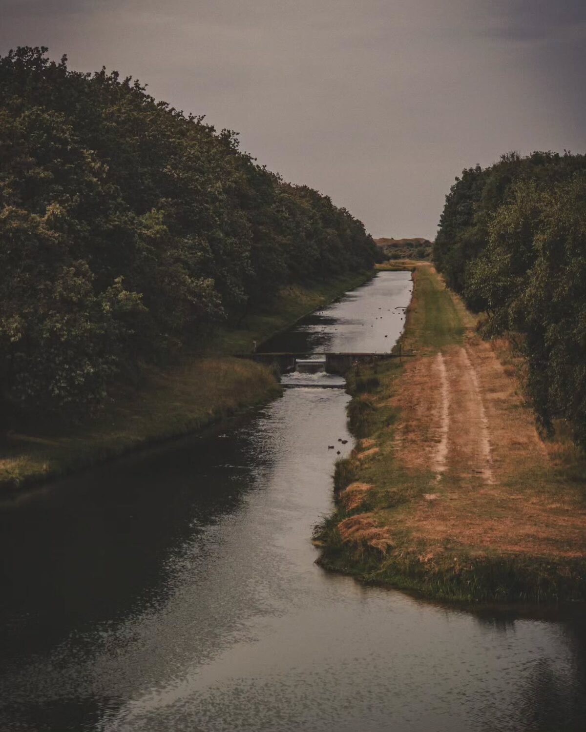 ð Amsterdamse Waterleidingduinen