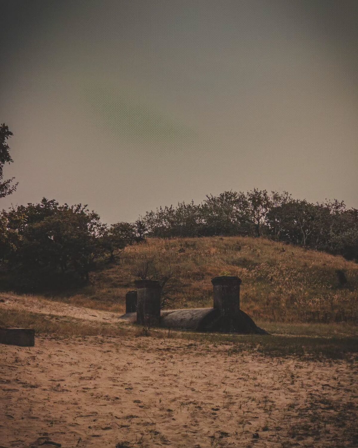 ð Amsterdamse Waterleidingduinen