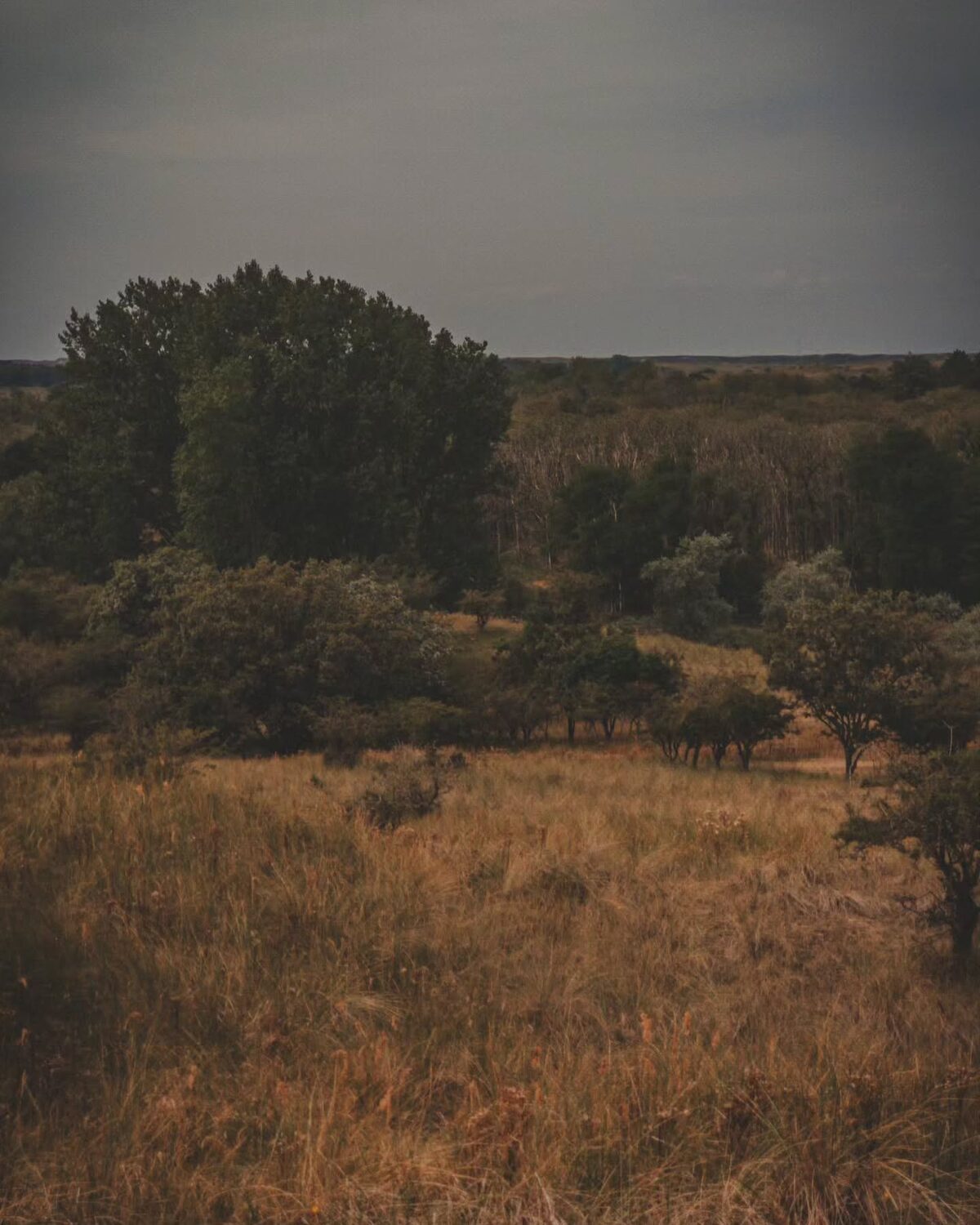 ð Amsterdamse Waterleidingduinen