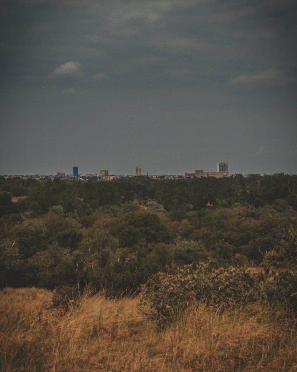 ð Amsterdamse Waterleidingduinen
