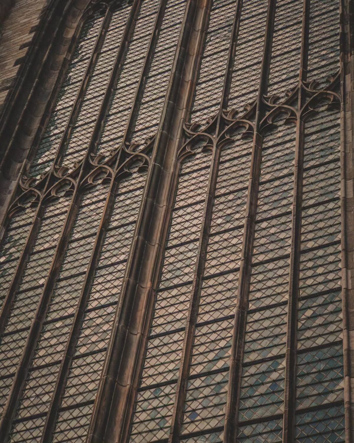 ð Leiden