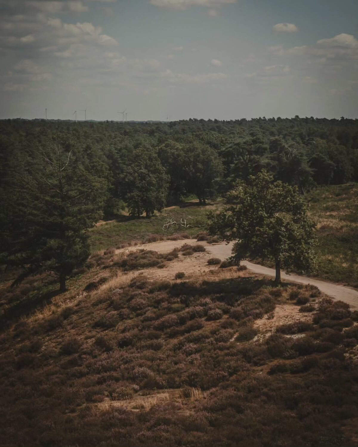 Nederland was mooi en het weer was goed. Het eten was lekker en de mensen fijn.