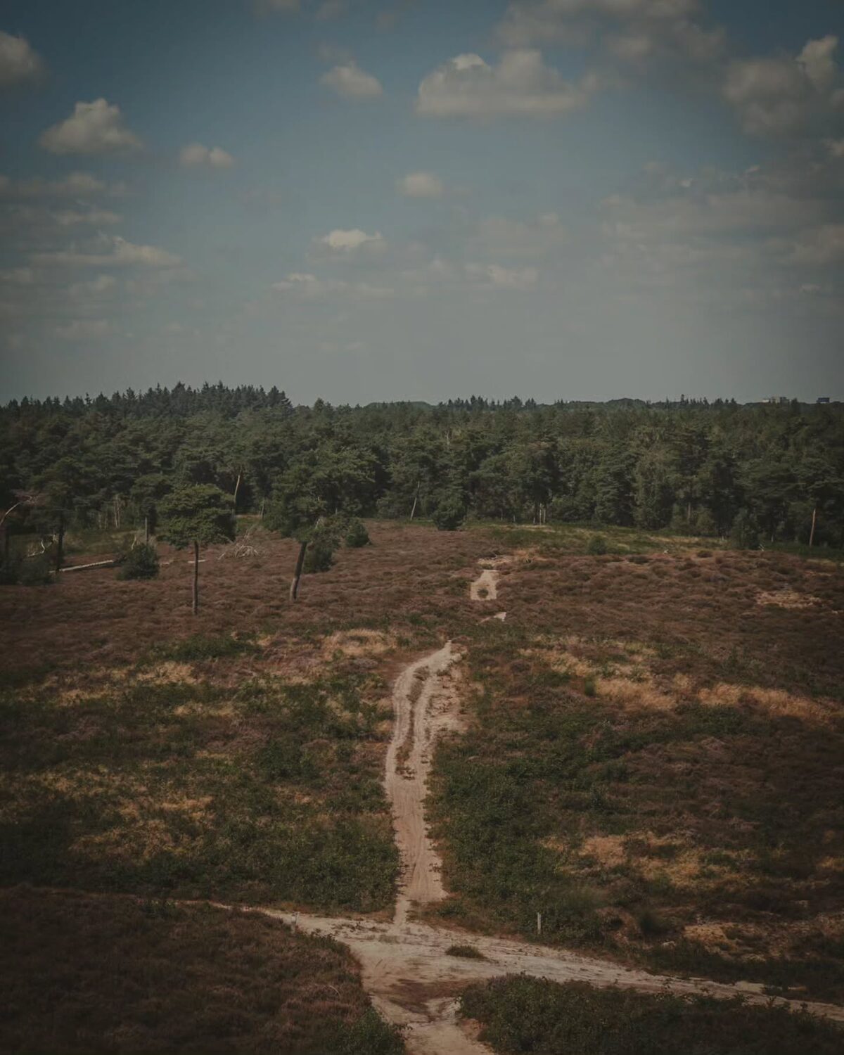 Nederland was mooi en het weer was goed. Het eten was lekker en de mensen fijn.