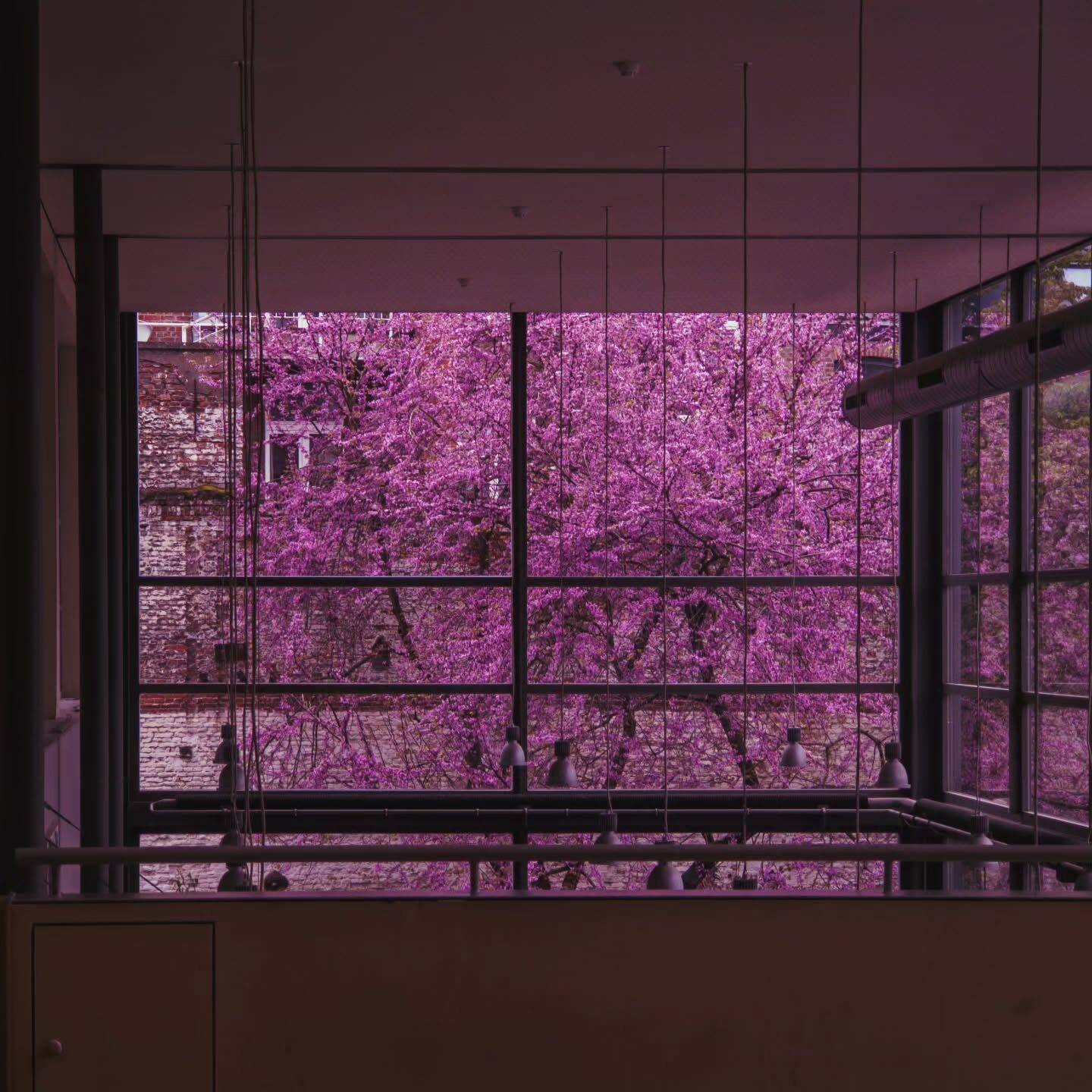 Imported Instagram photo