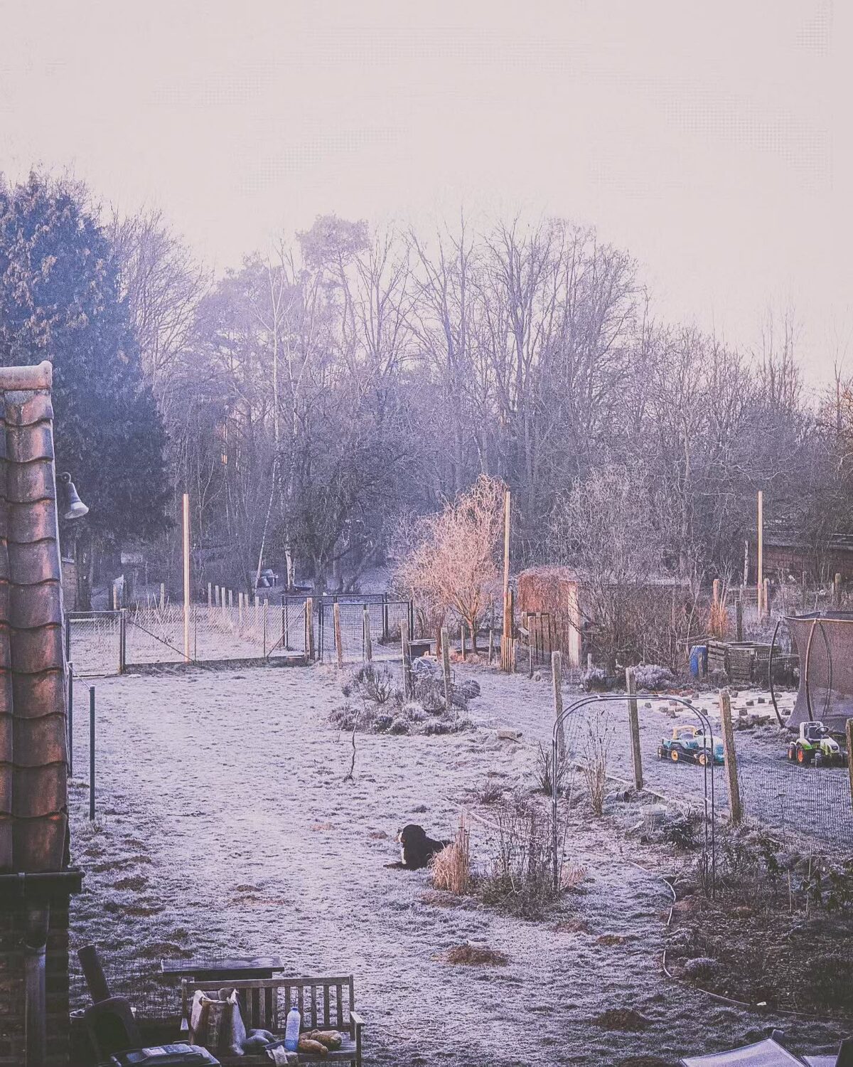 Ergens in de winter.