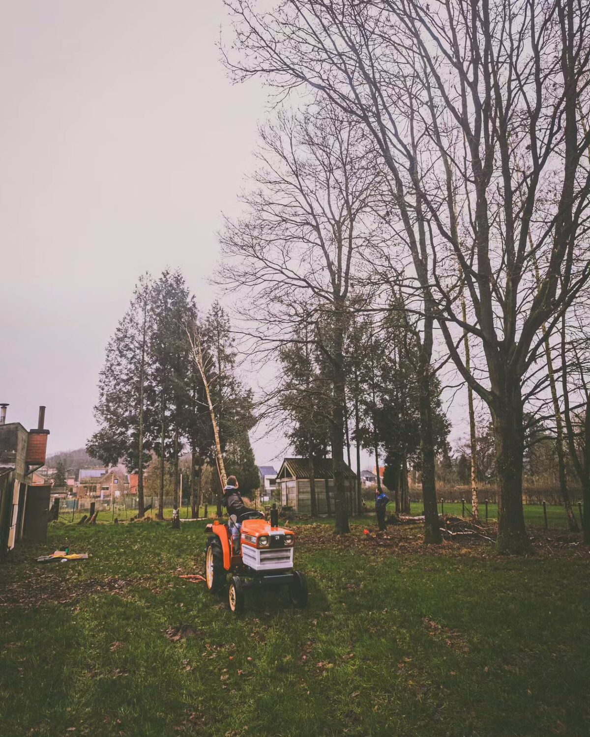 Ergens in de winter.