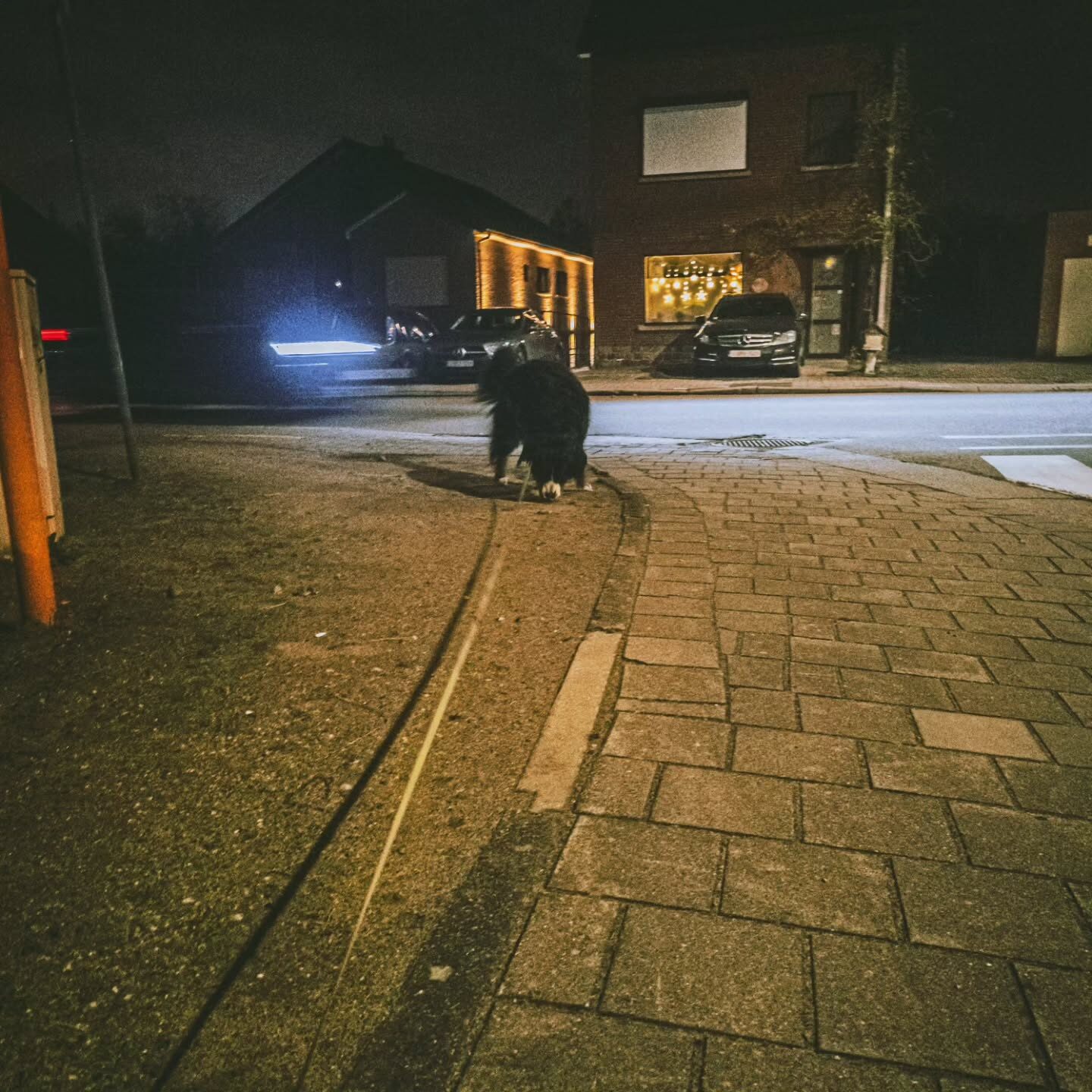 Nog steeds ergens voor kerstmis