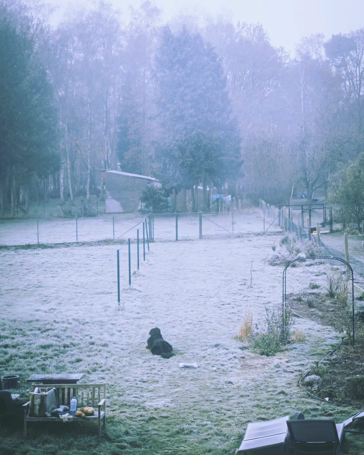 Winter vibes