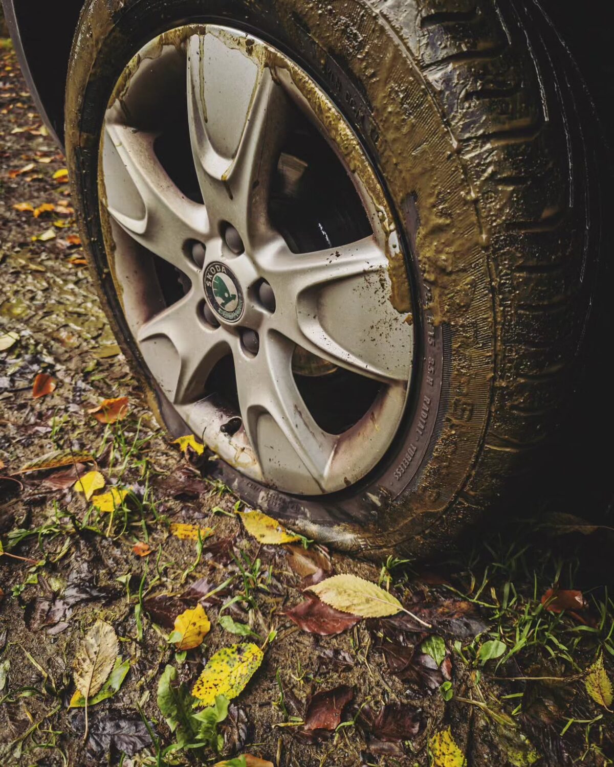 Fall dump
