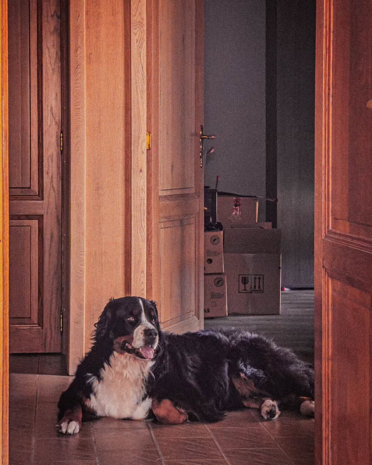 Imported Instagram photo
