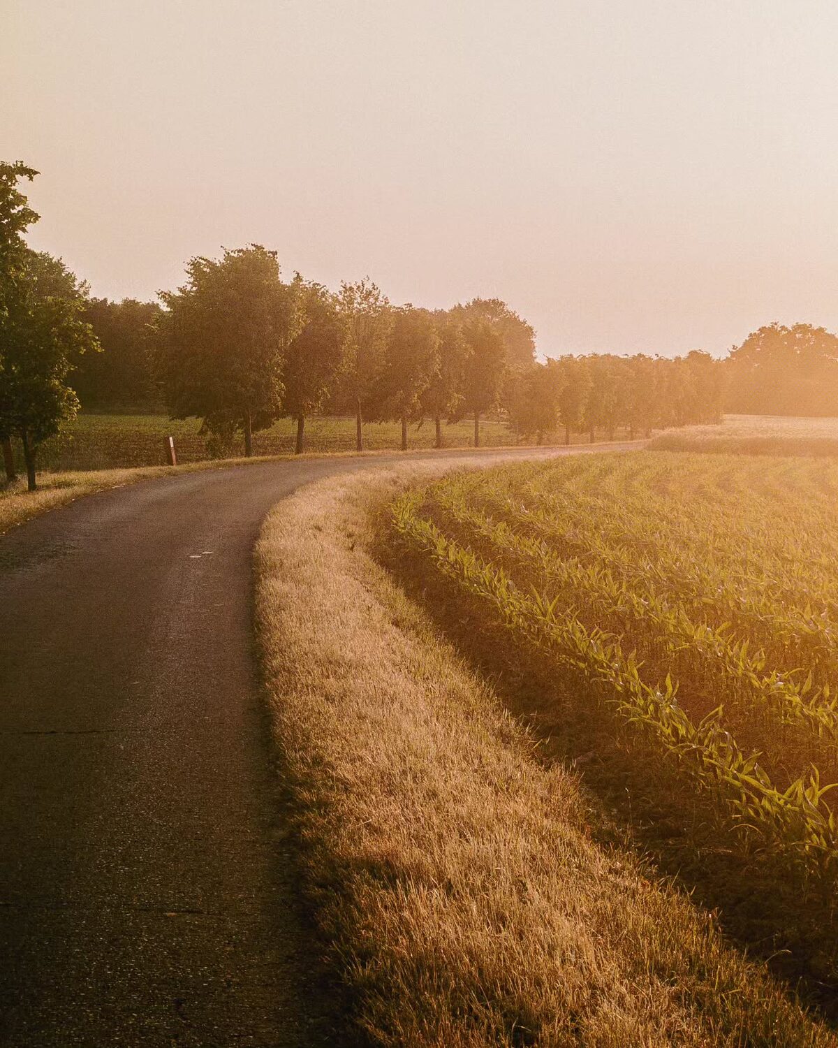 Vlaanderen Fietsland