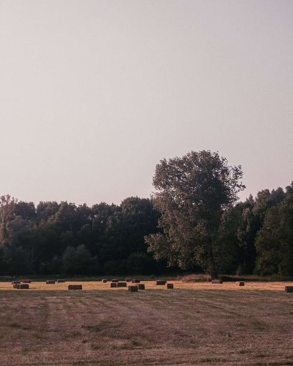 Vlaanderen Fietsland