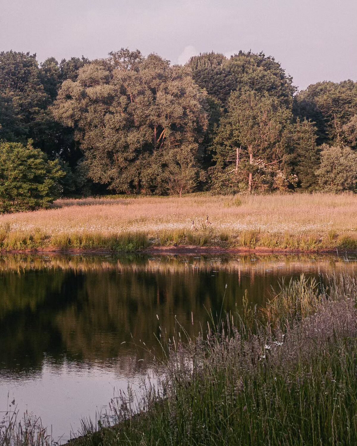 Vlaanderen Fietsland