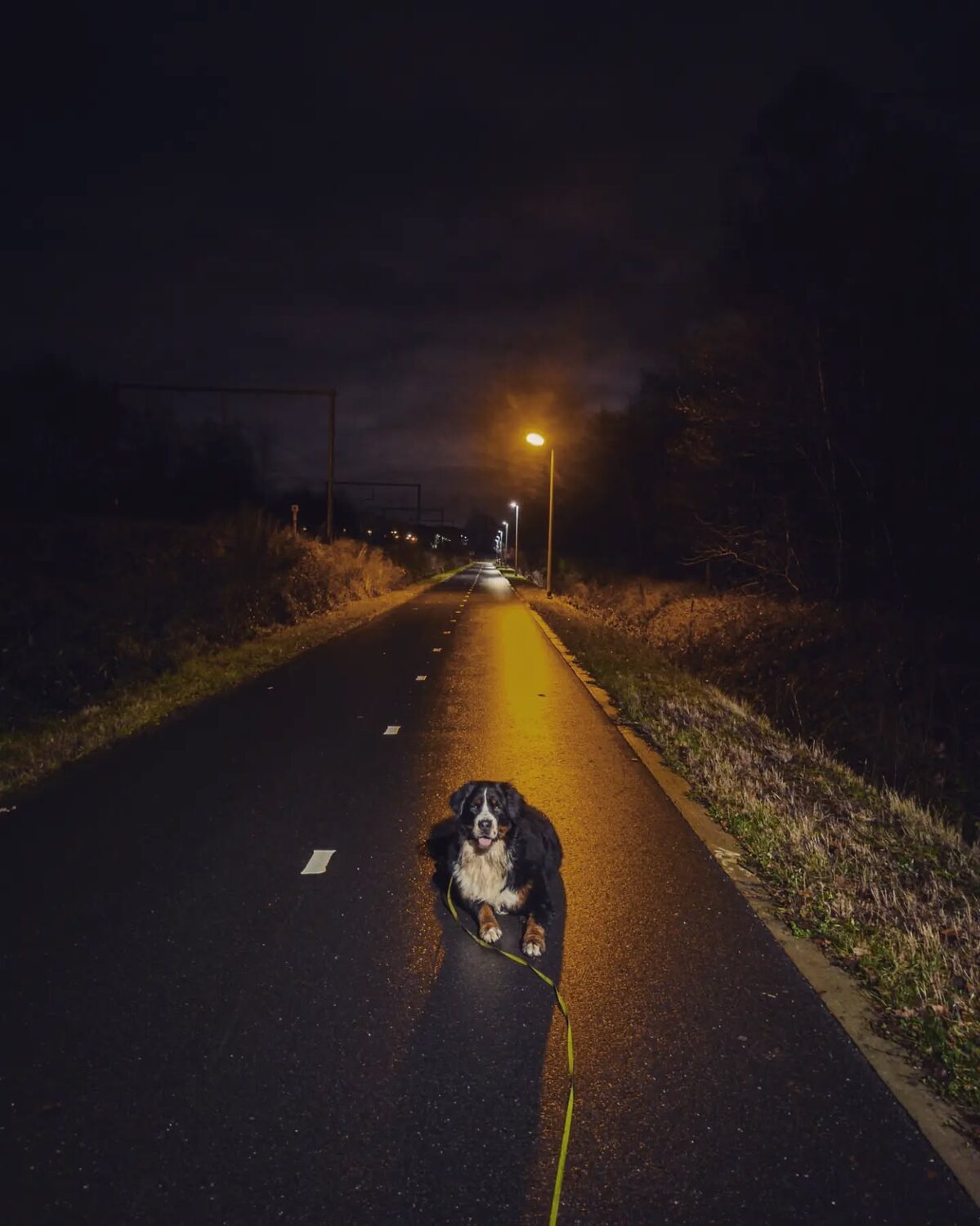 ScÃ¨nes met Skye