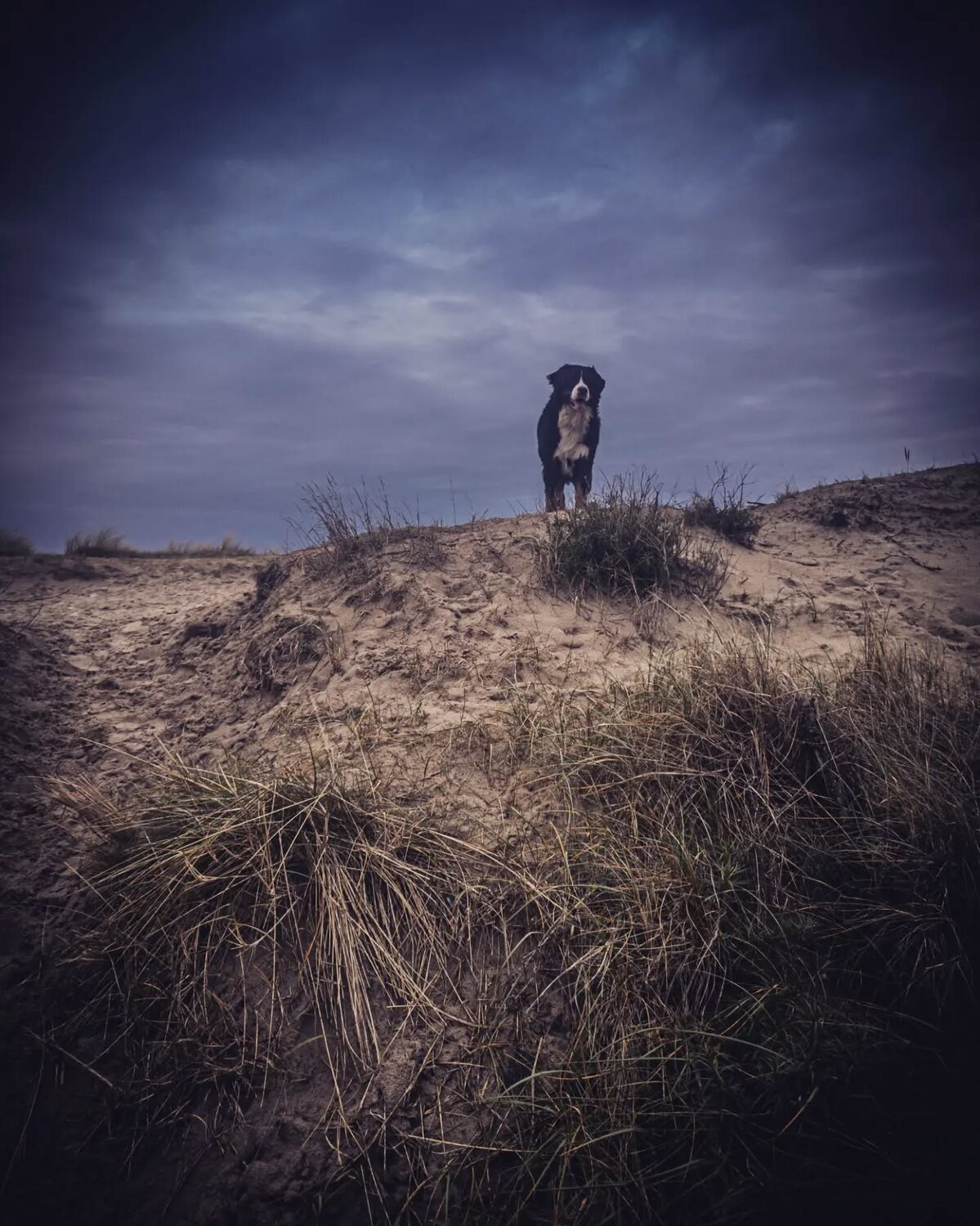 ScÃ¨nes met Skye