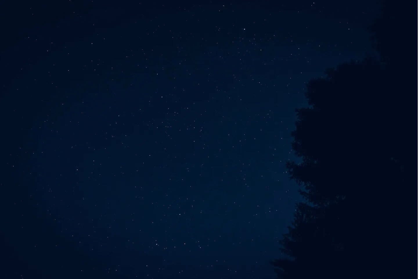 Bonne Nuit