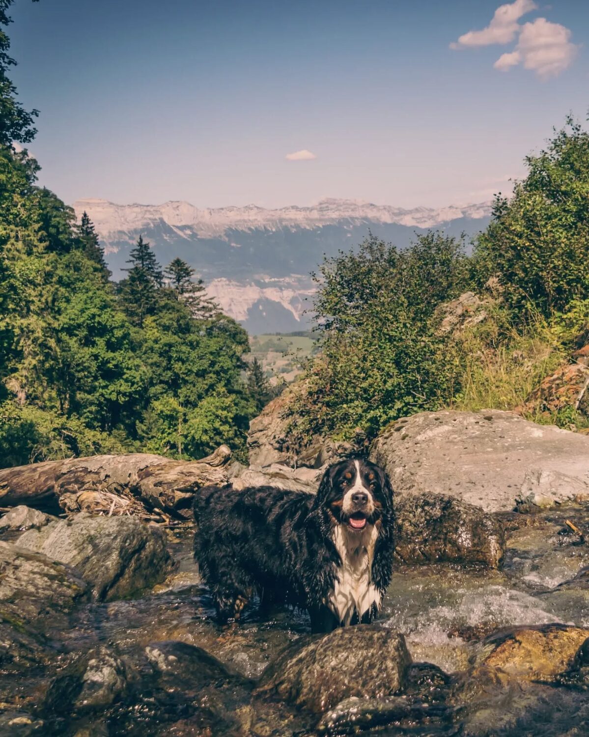 berg+rivier