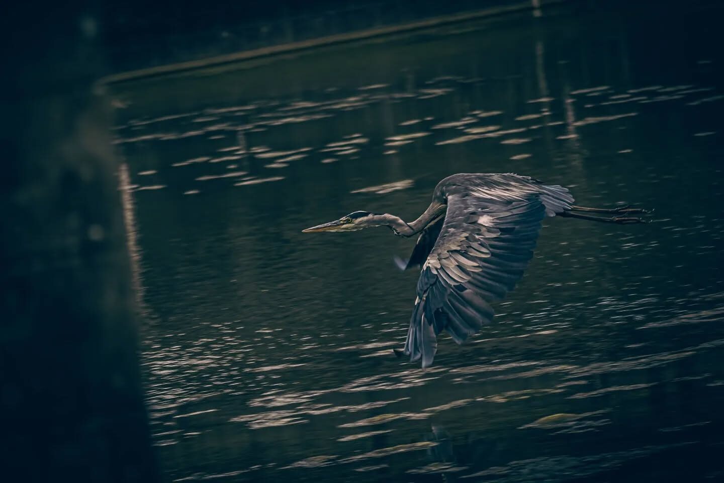 Tervuren in vogelvlucht ð´ââï¸
