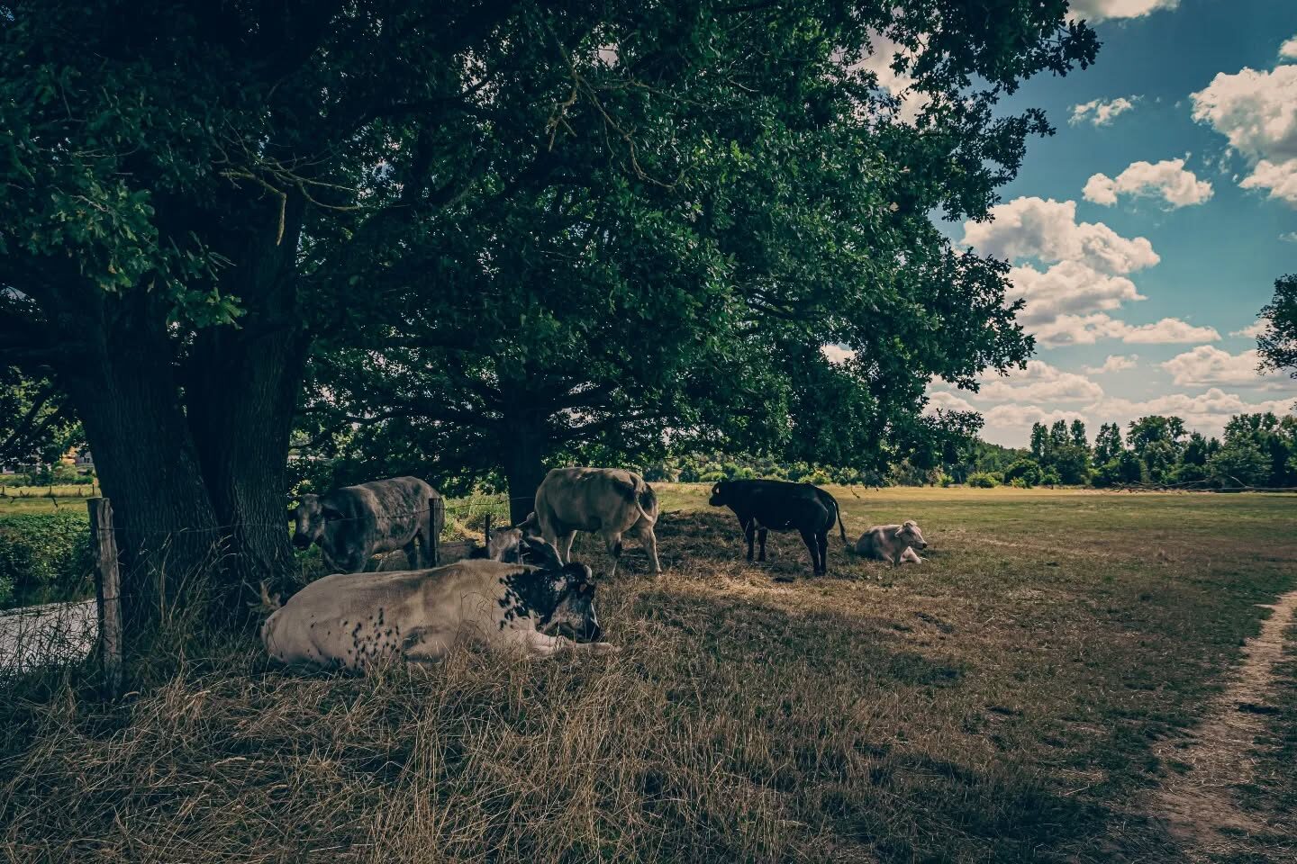 Tervuren in vogelvlucht ð´ââï¸