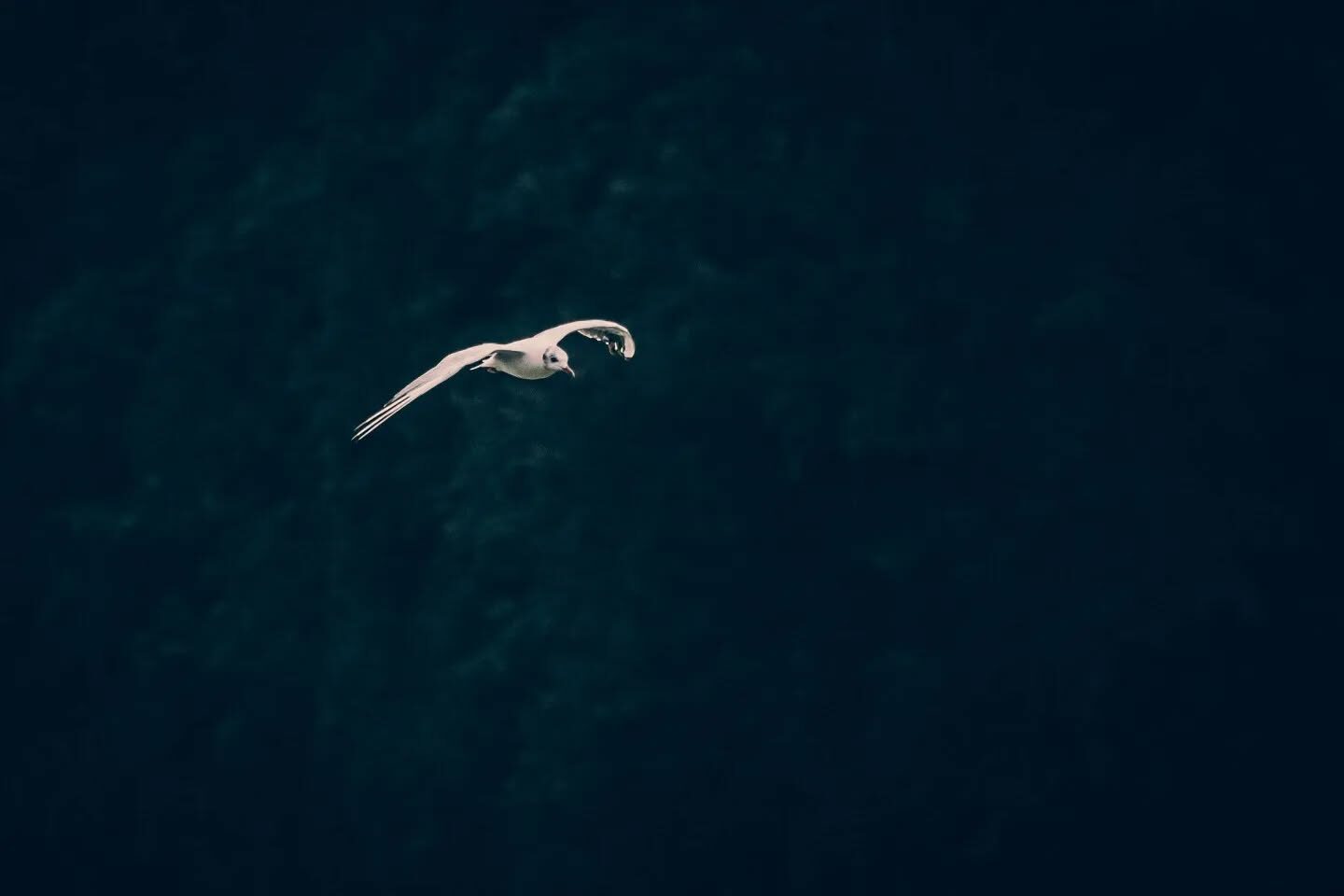 Tervuren in vogelvlucht ð´ââï¸