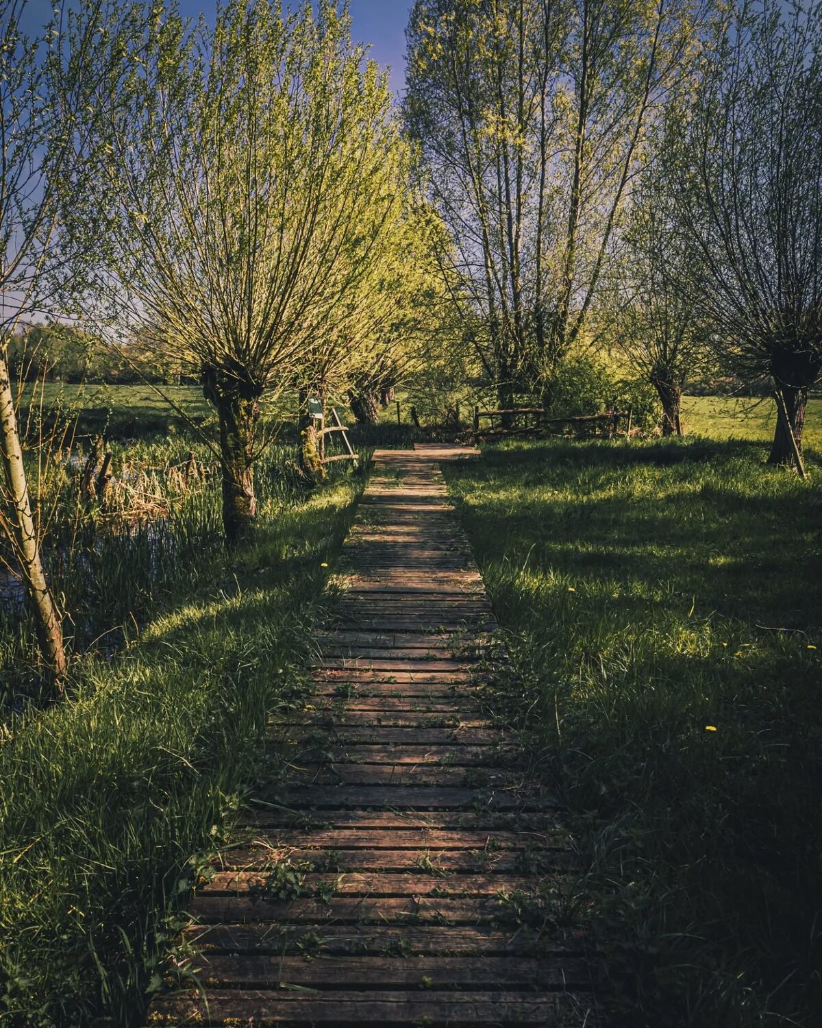 De zon schijnt? Knooppuntentijd!

Een aanrader? Niet per se. Sowieso alleen relevant als je van Leuven naar Mechelen moet of omgekeerd. Wel