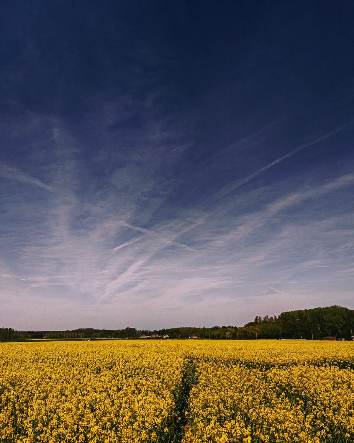 De zon schijnt? Knooppuntentijd!

Een aanrader? Niet per se. Sowieso alleen relevant als je van Leuven naar Mechelen moet of omgekeerd. Wel