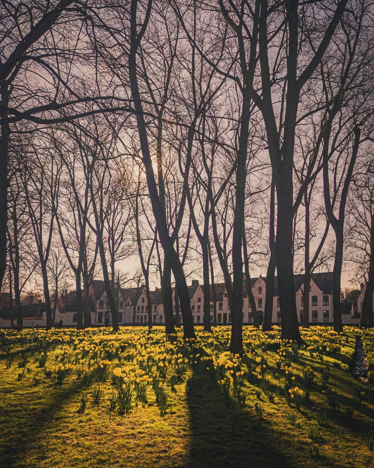 In Bruhhe.

#bruges