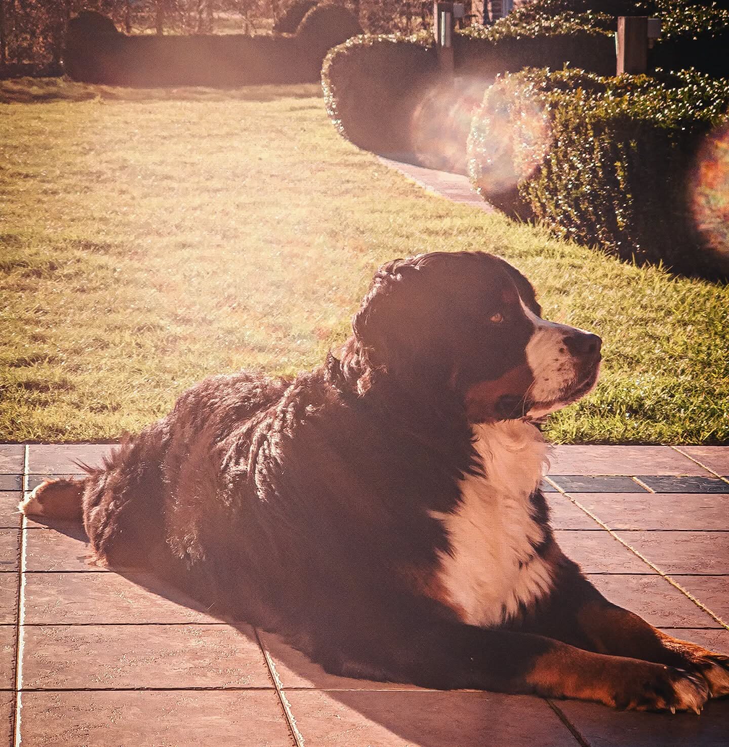 Imported Instagram photo