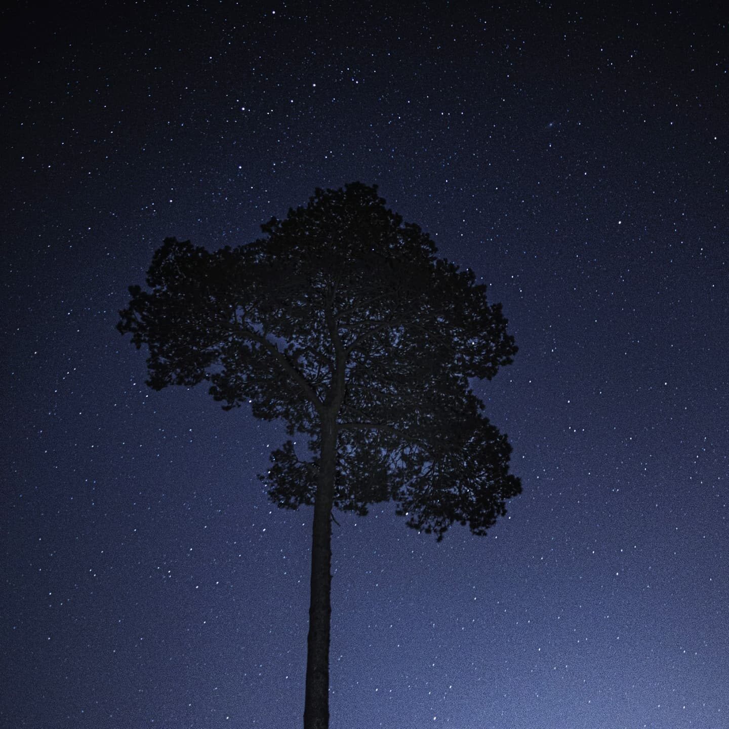 Bonne Nuit.