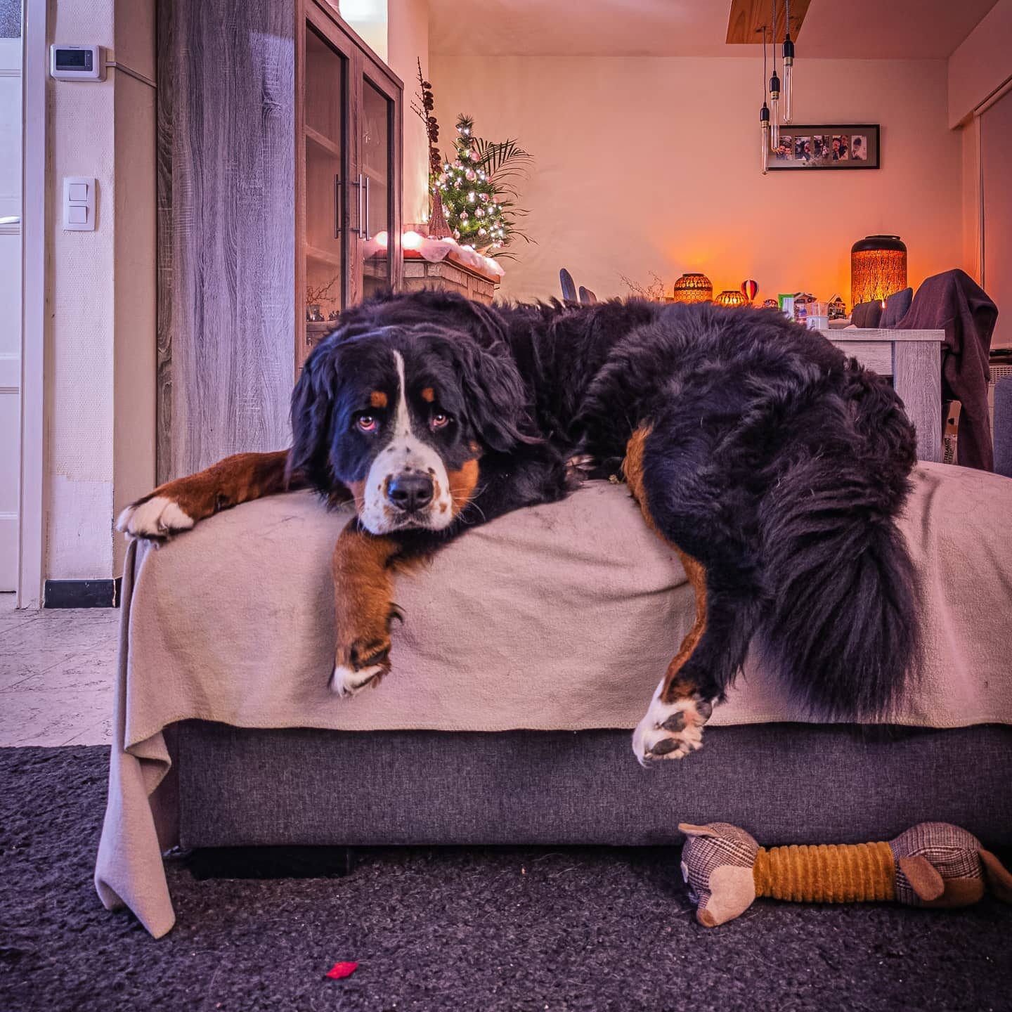 Imported Instagram photo
