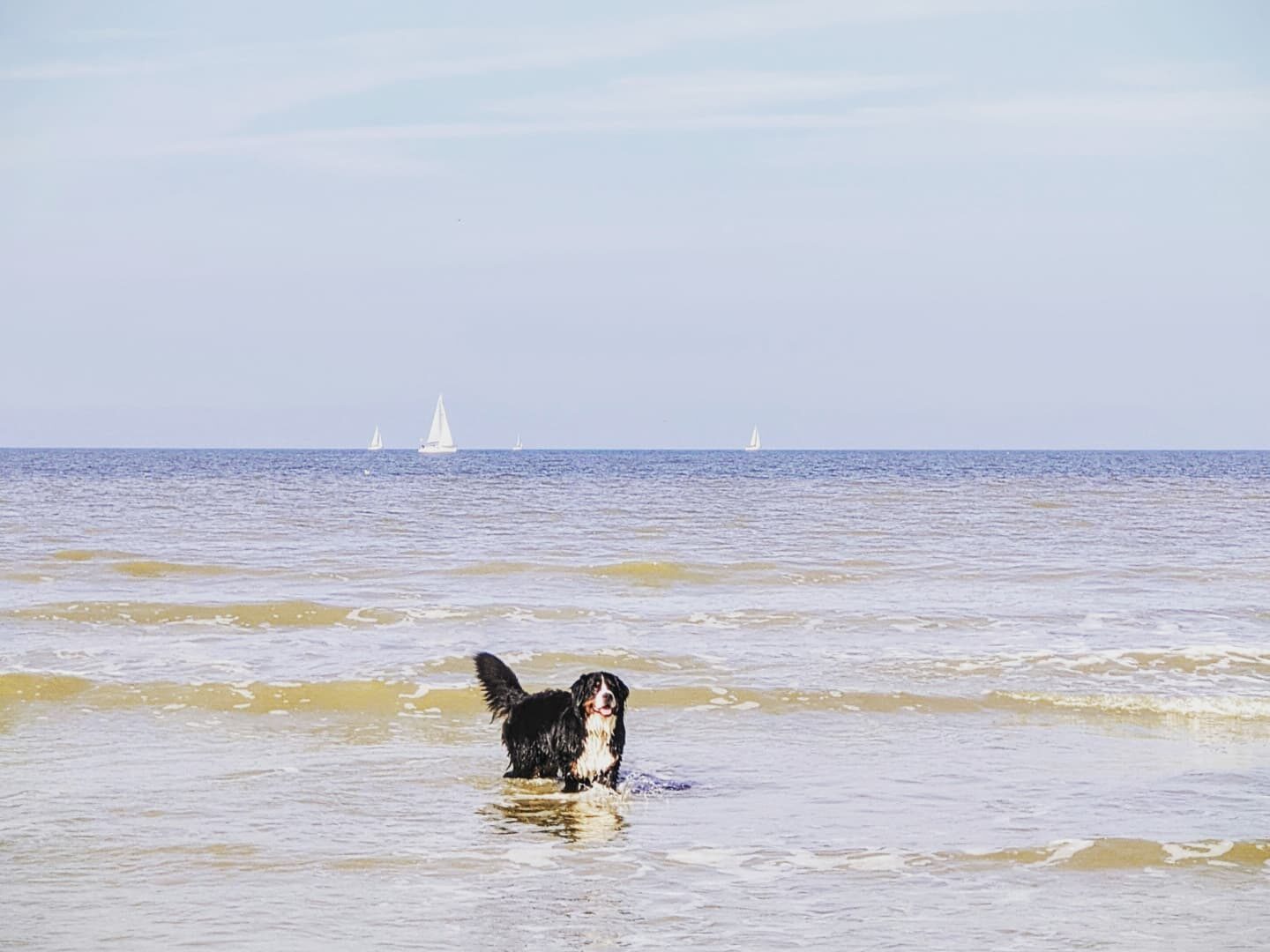 Skye-Aan-Zee.
