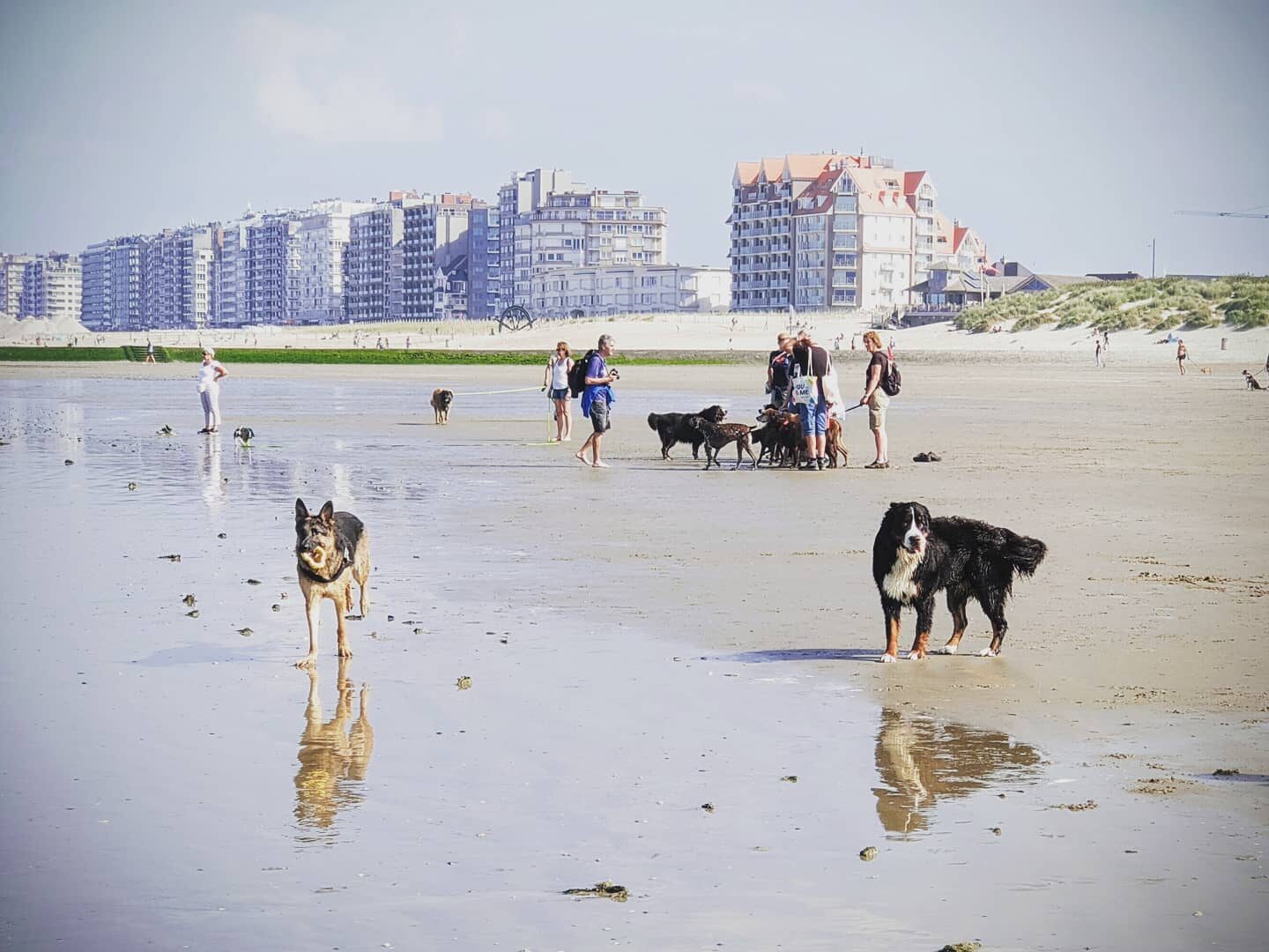 Skye-Aan-Zee.