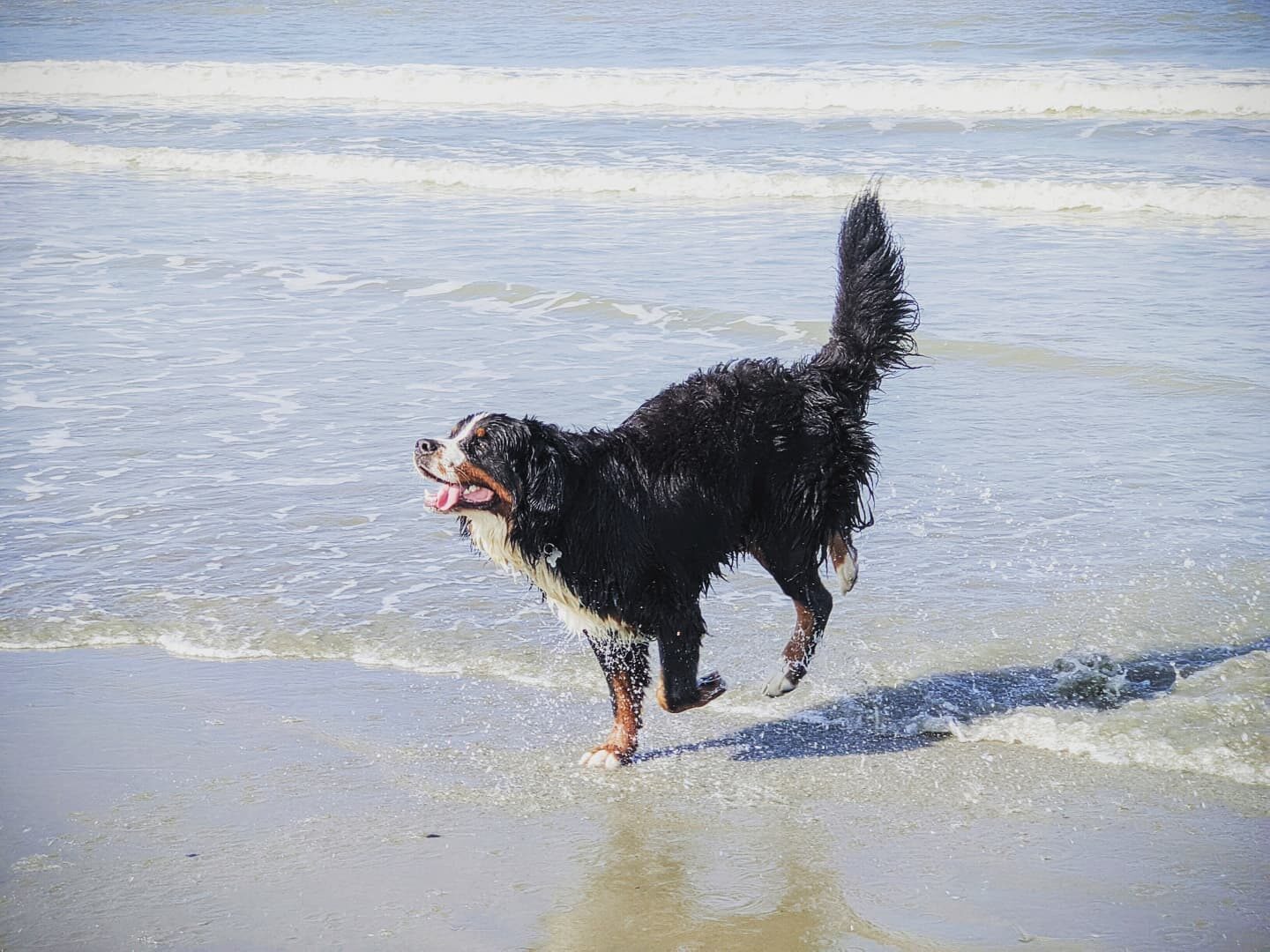 Skye-Aan-Zee.