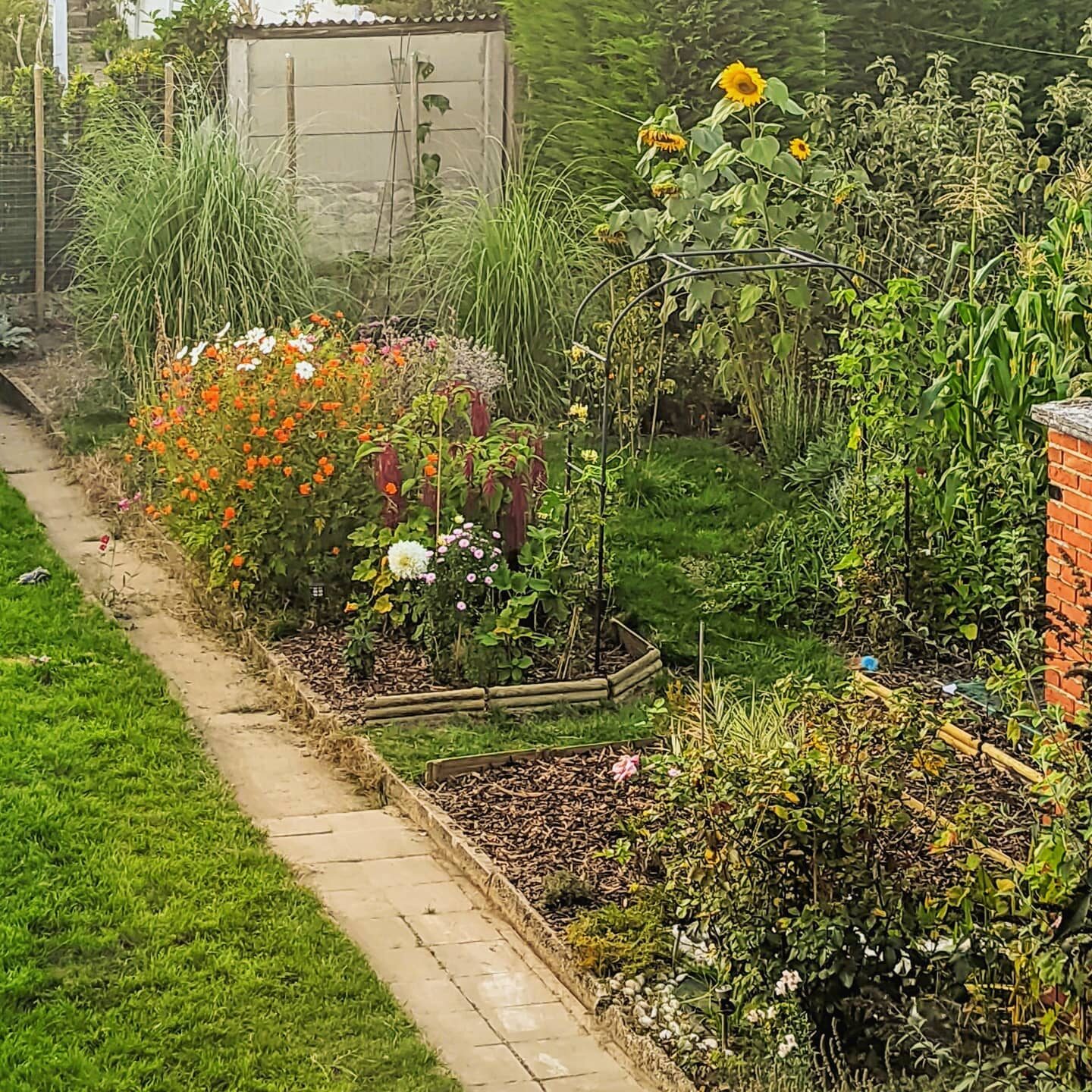 Garden season 2021.
