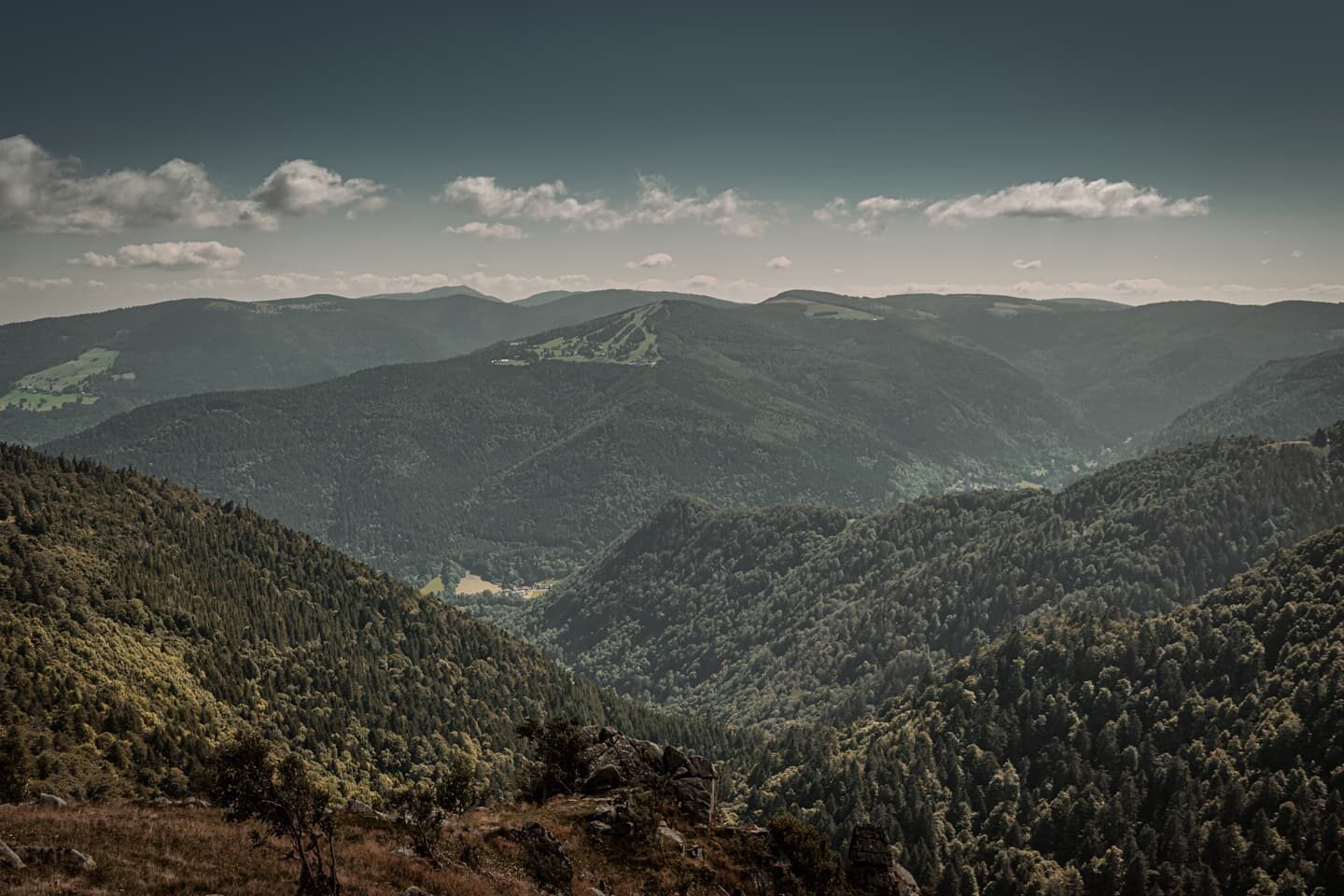 Point de vue.